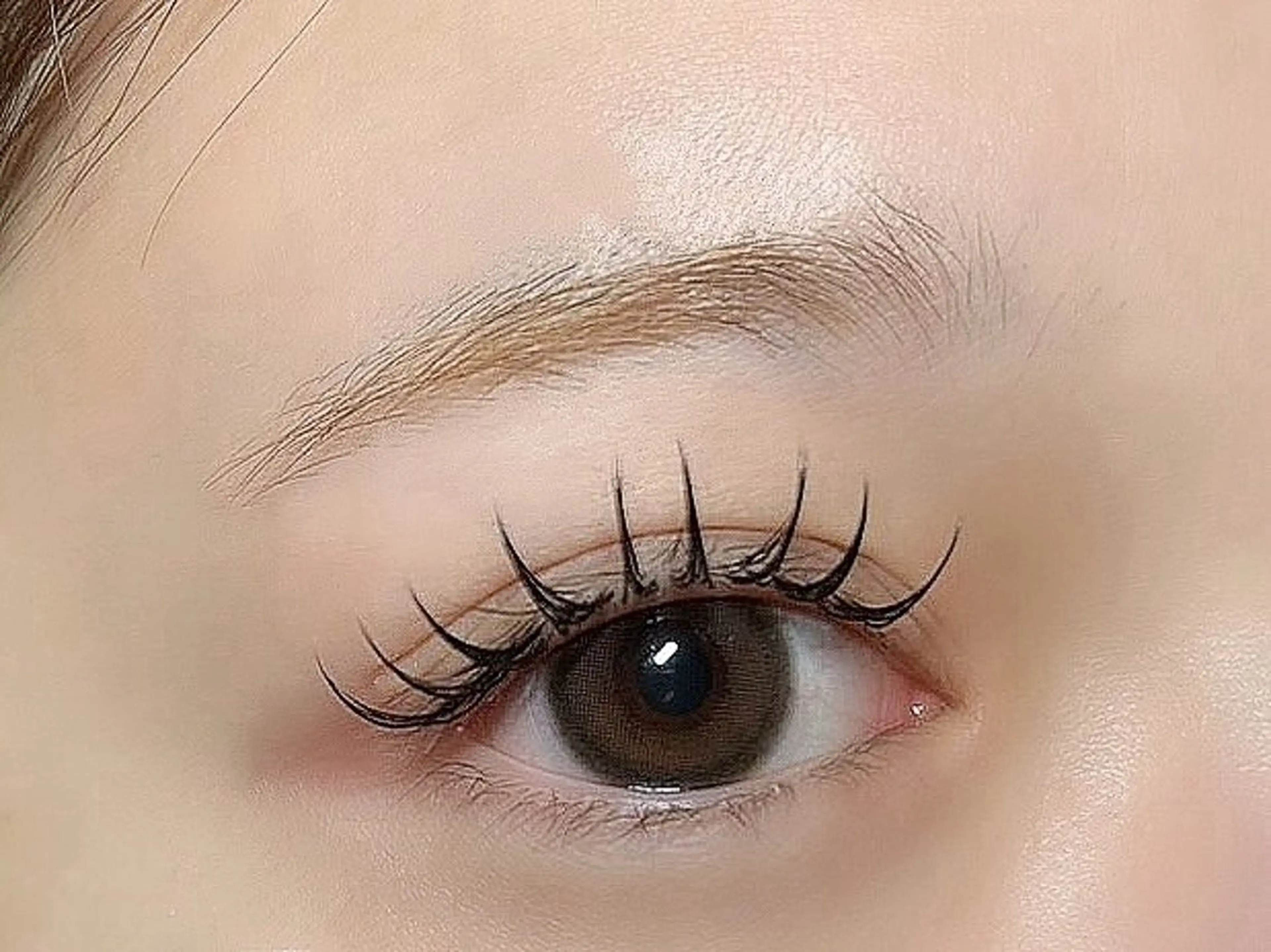 🦋シングルラッシュ 120本 5000円の写真