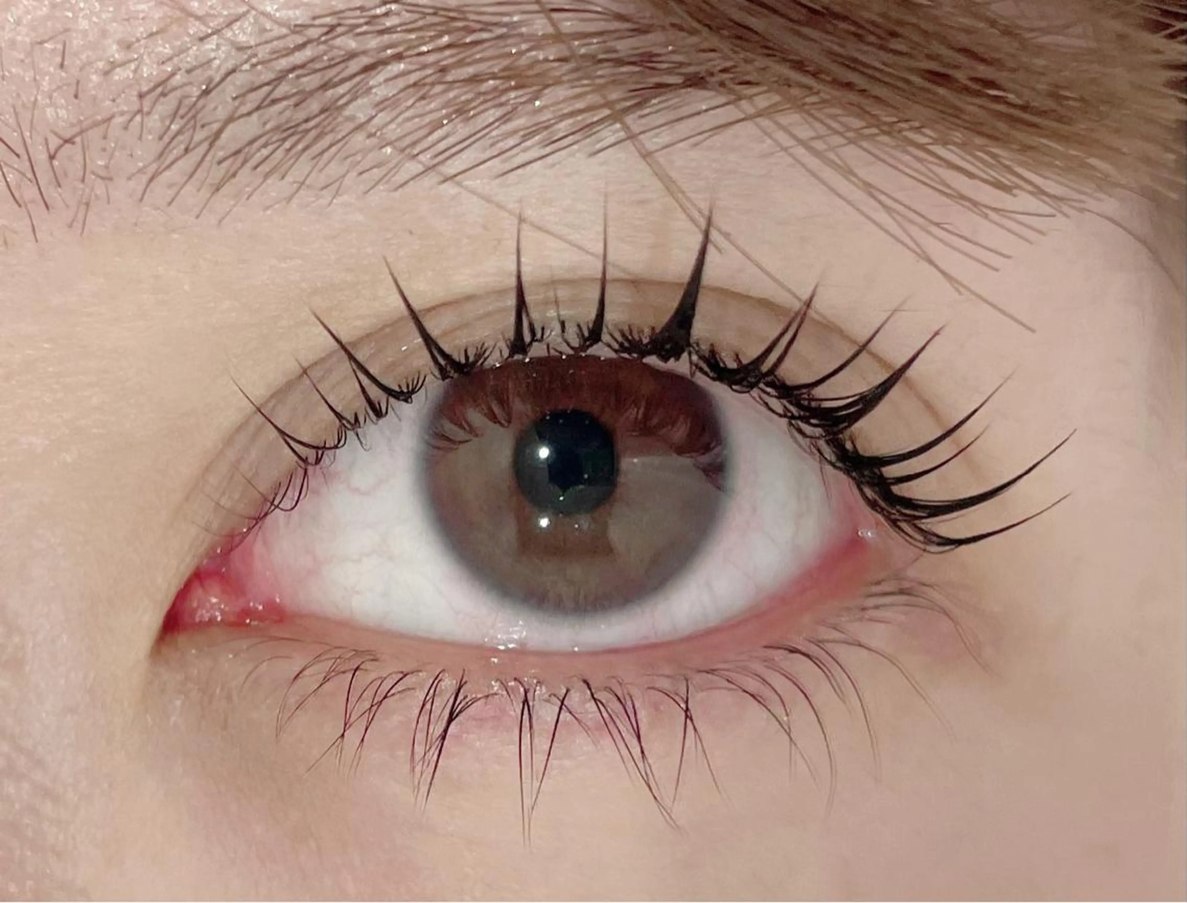 マツエク・マツパ まつげパーマ専門店 くるり🎀赤澤🎀の眉毛・アイブロウイメージ