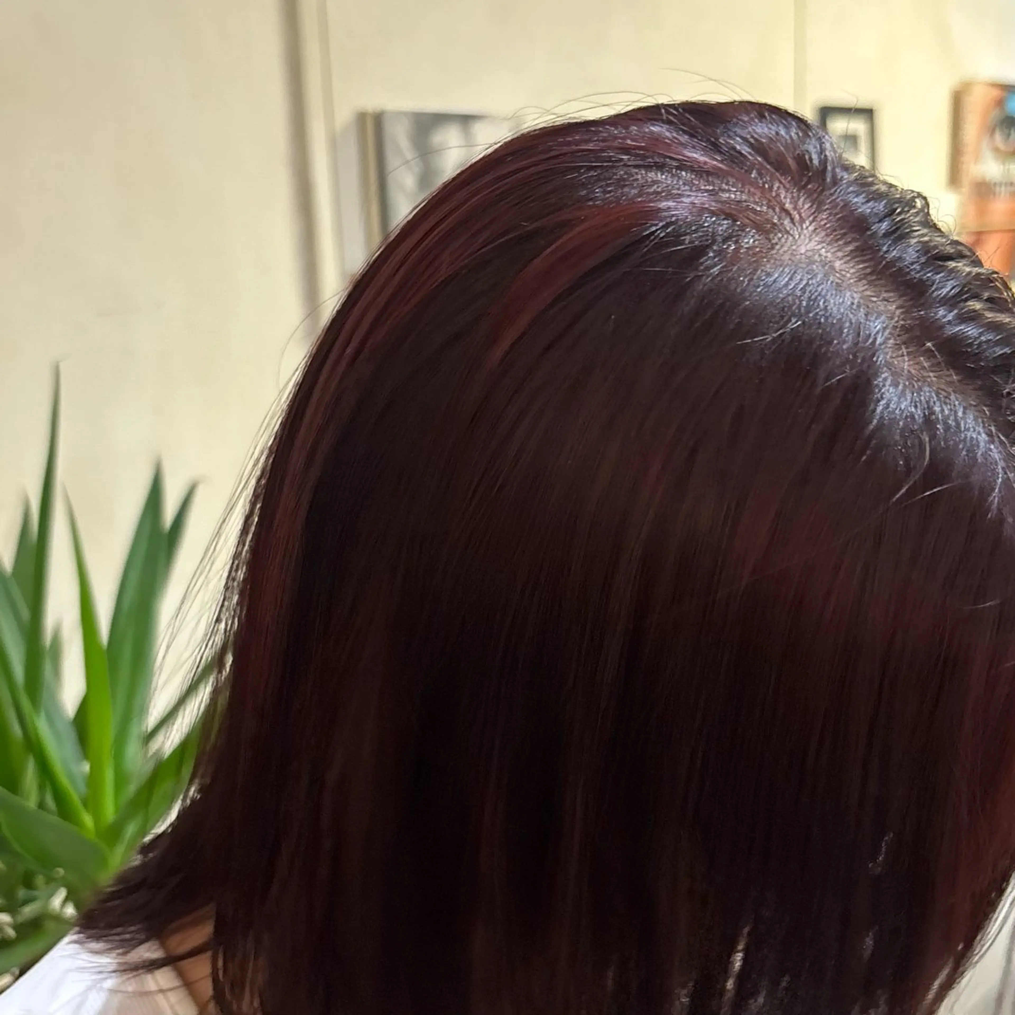 ミディアム カラー ブリーチ ブリーチなしカラー レッドカラー 似合わせボブ/縮毛 矯正/りょうたのヘアスタイル