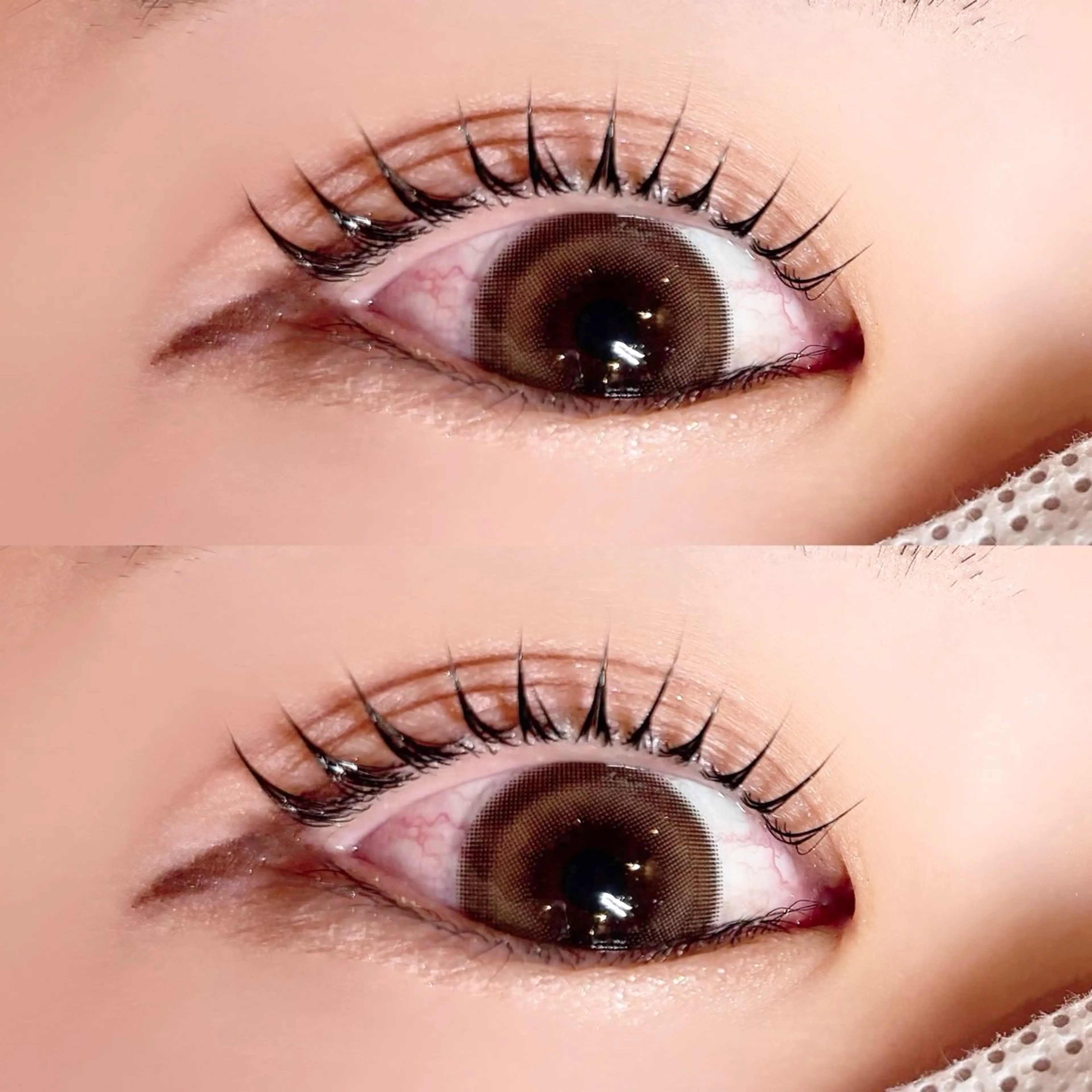 マツエク・マツパ マツパ Pupu lash ‪ ꪔ̤のマツエク・マツパデザイン