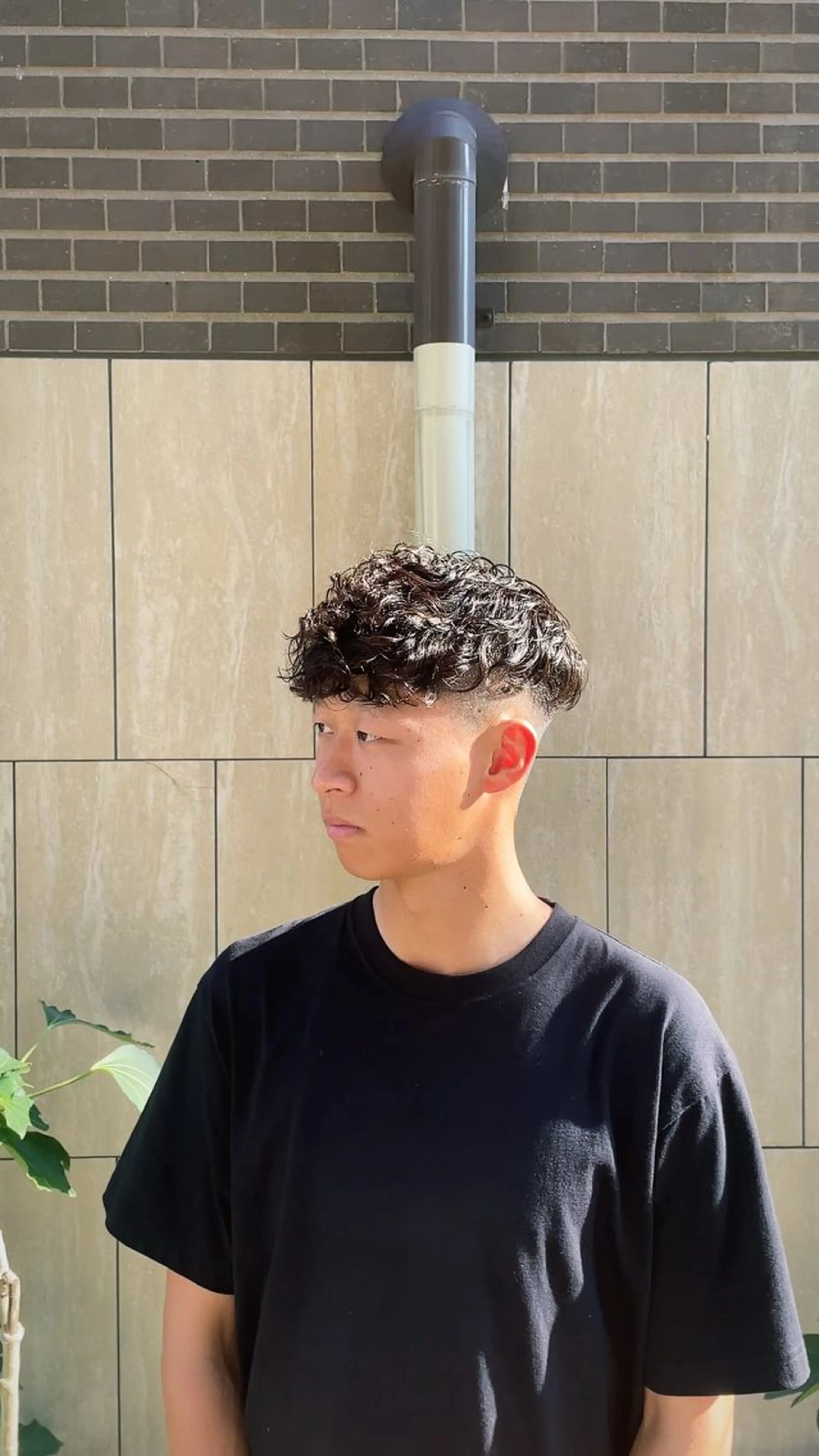 men's cut + spain curlの写真