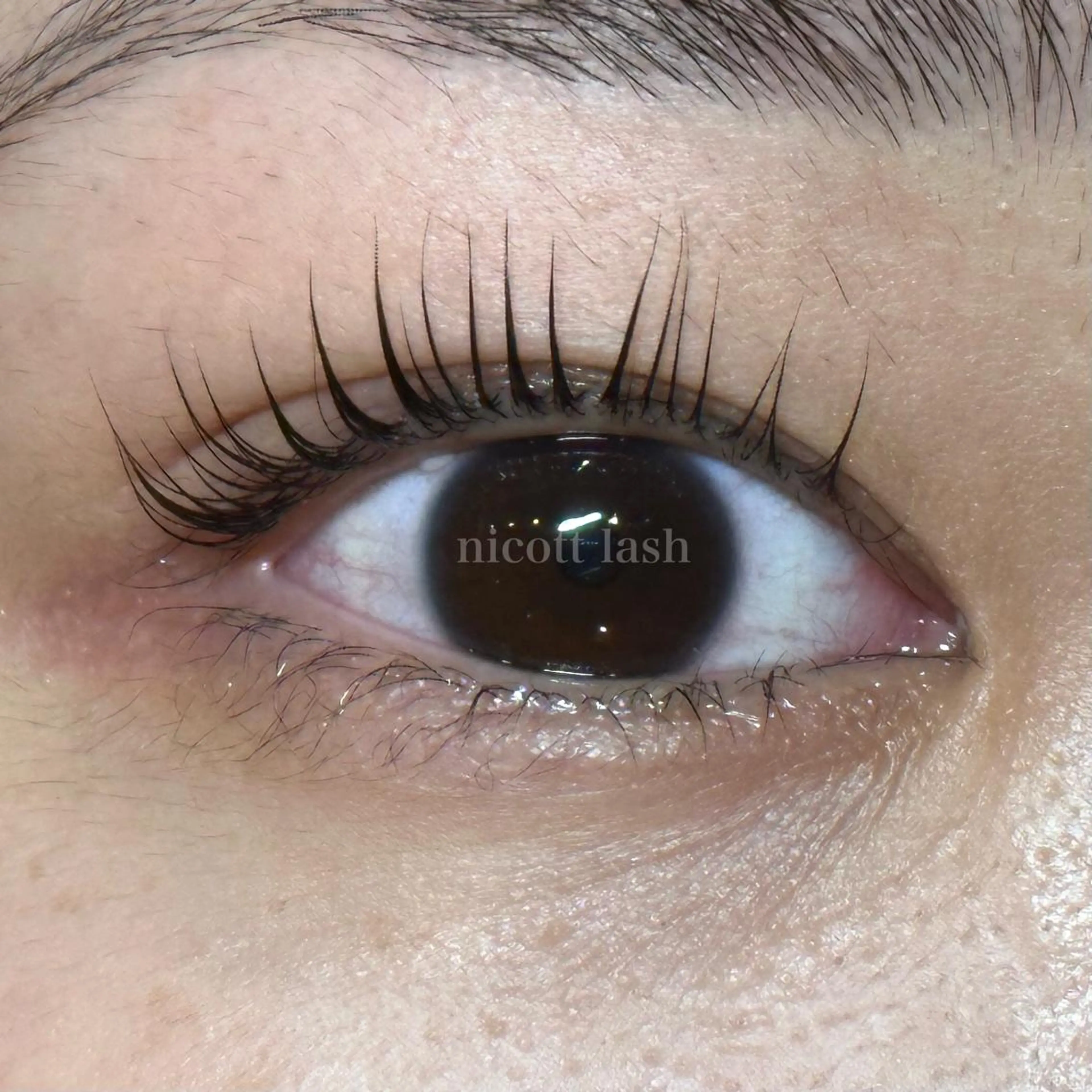 マツエク・マツパ nicott 篠田のマツエク・マツパデザイン