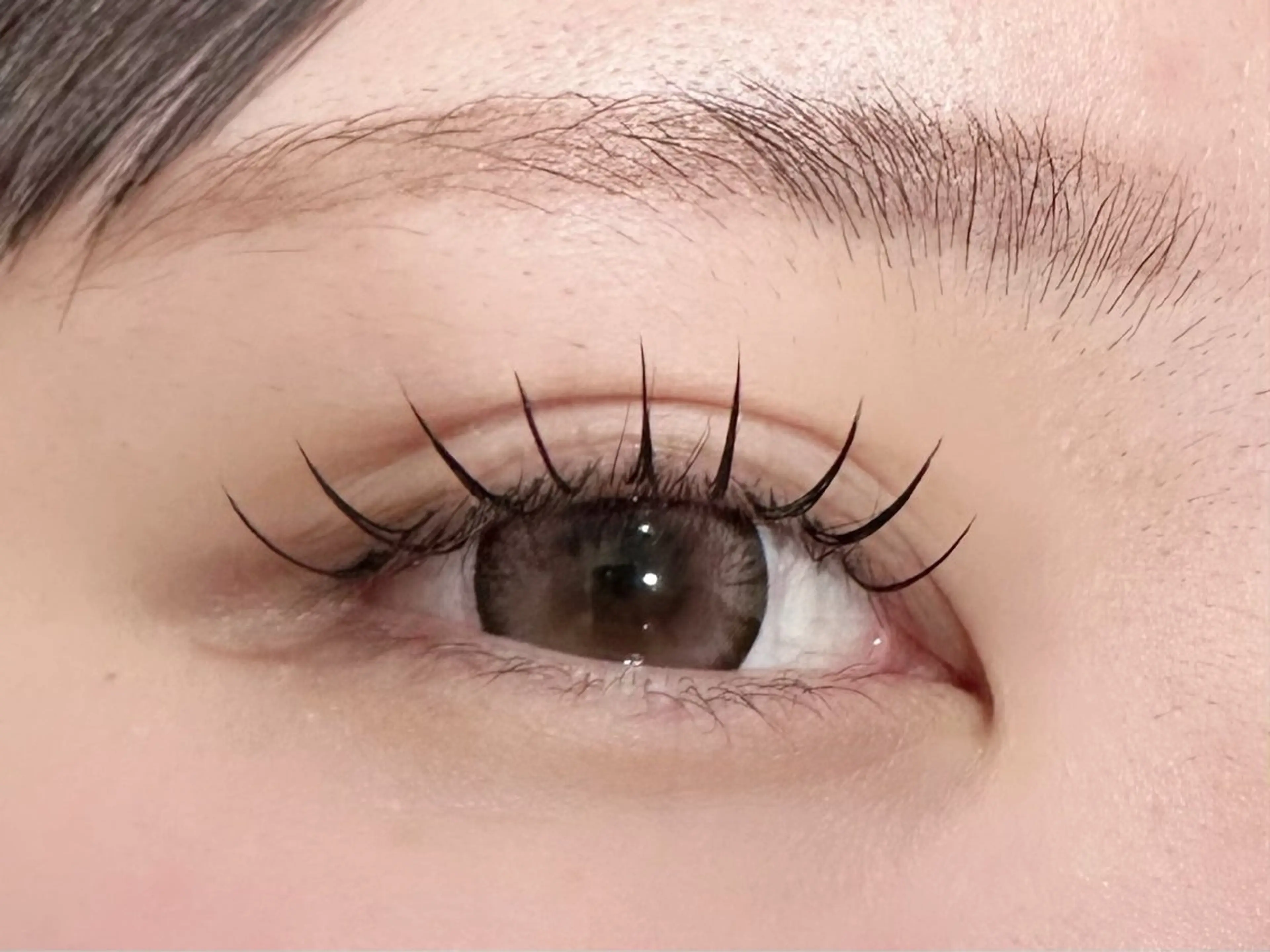 フラットラッシュ100本の写真