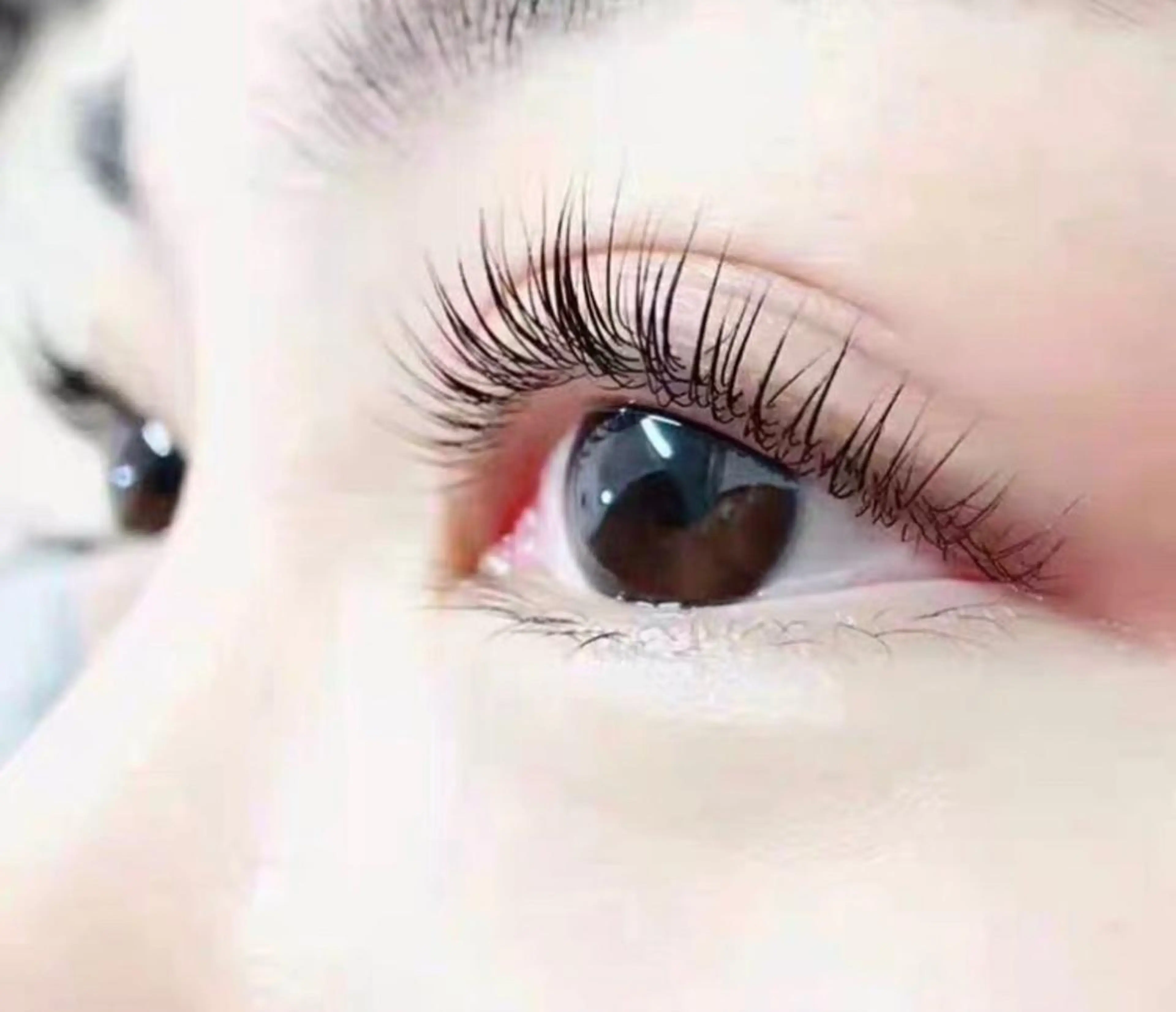 (新規)フラットラッシュ160本(両目)(オフ込み)の写真