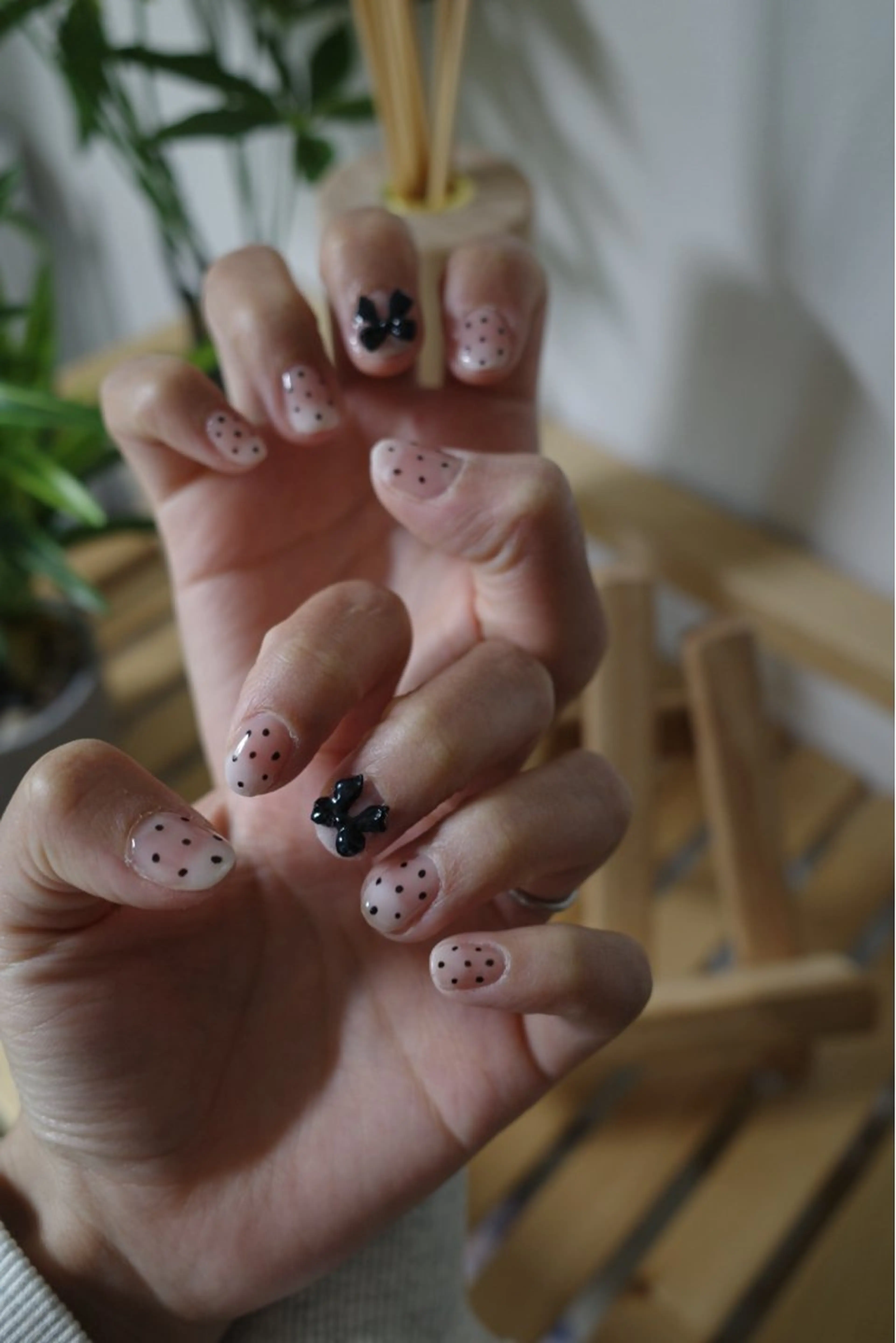 定額デザインの写真