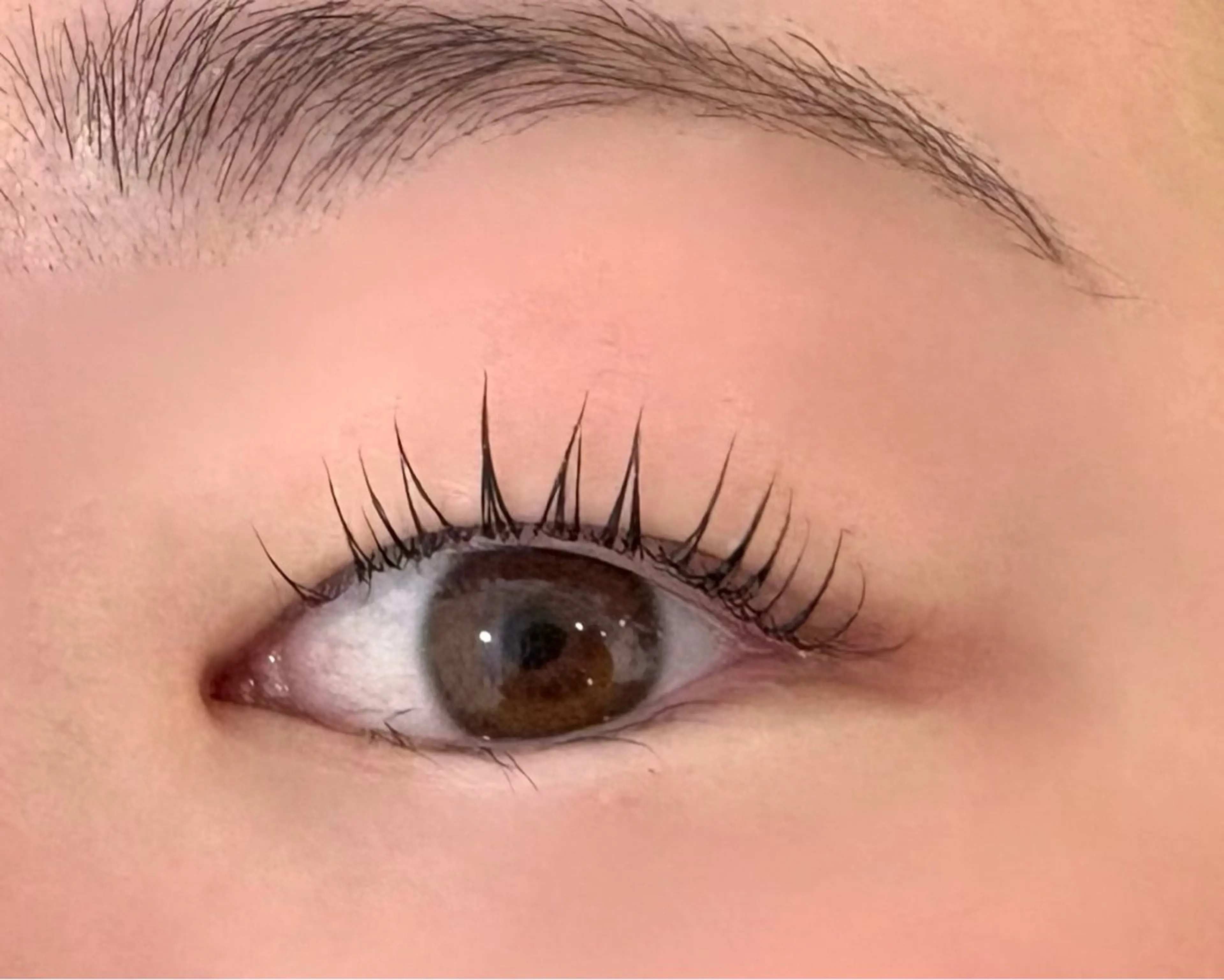 マツエク・マツパ 一重×まつ毛パーマ choco lash kirara✨のマツエク・マツパデザイン