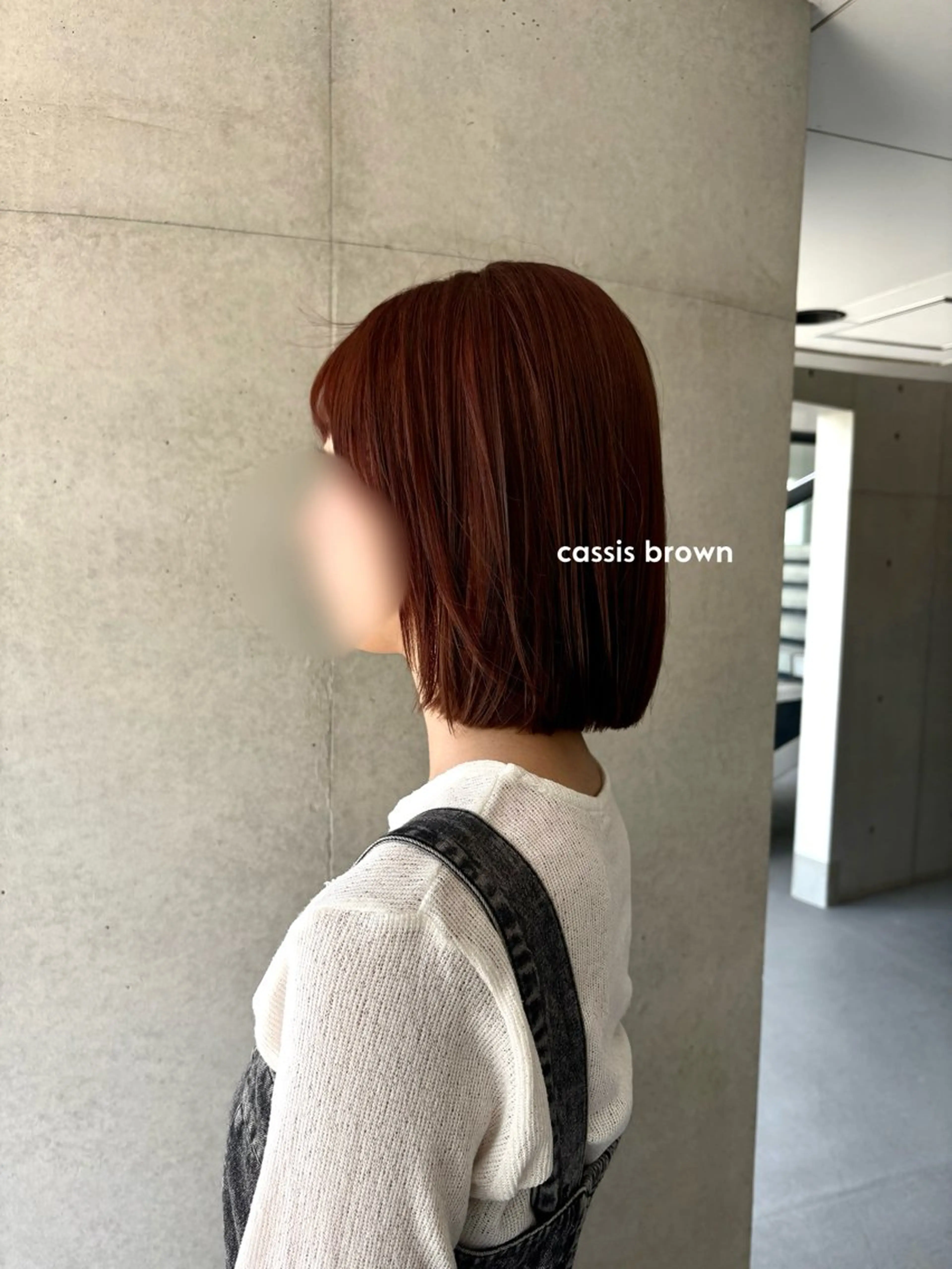 カラー ブラウンカラー カシス レナ🧸‪🤎 アメリシュシュのヘアスタイル