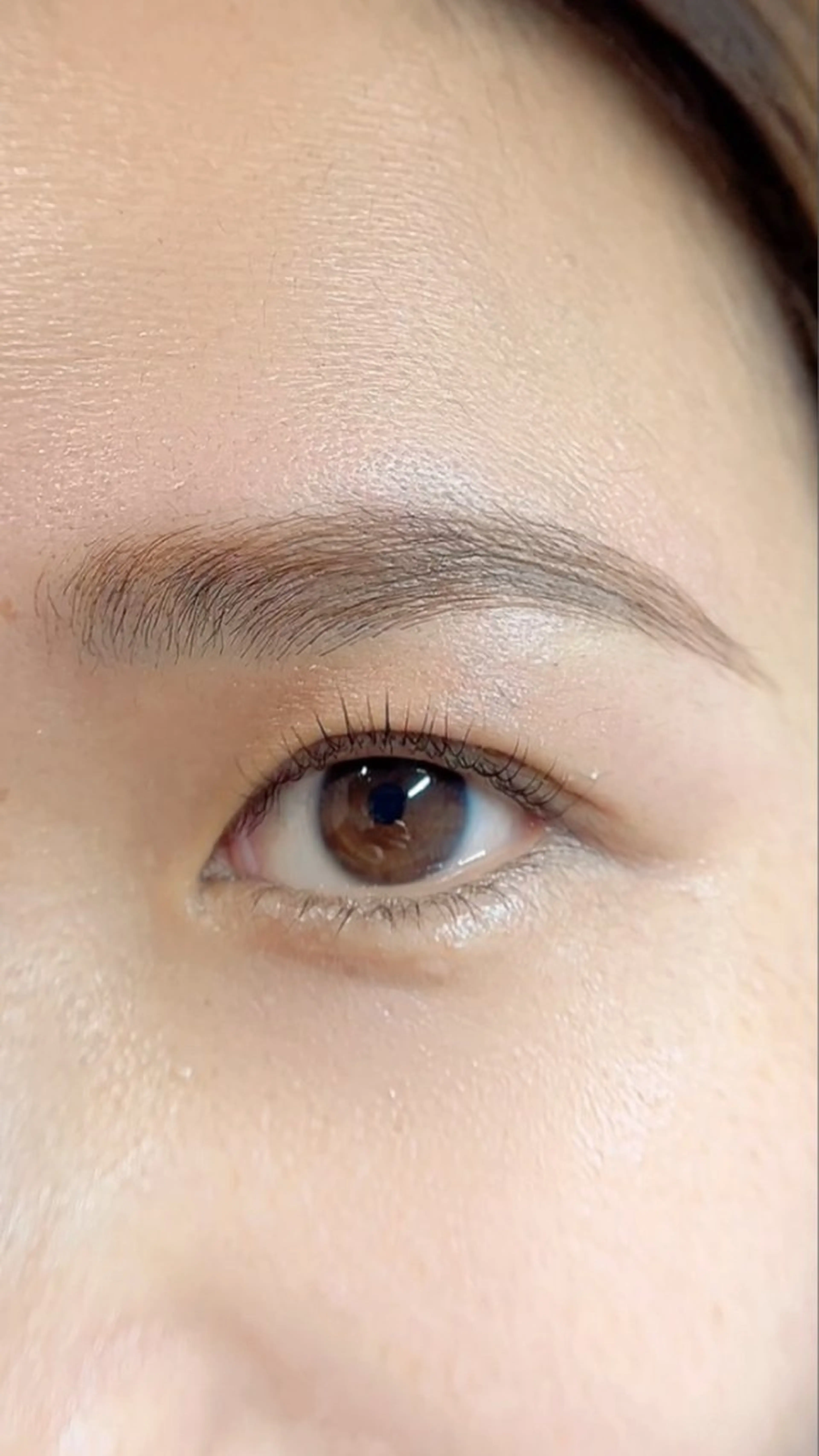 アイブロウ ハリウッドブロウリフト 眉毛ワックス脱毛 ワックス脱毛 その他(アイブロウ) shall cocotteの眉毛・アイブロウイメージ