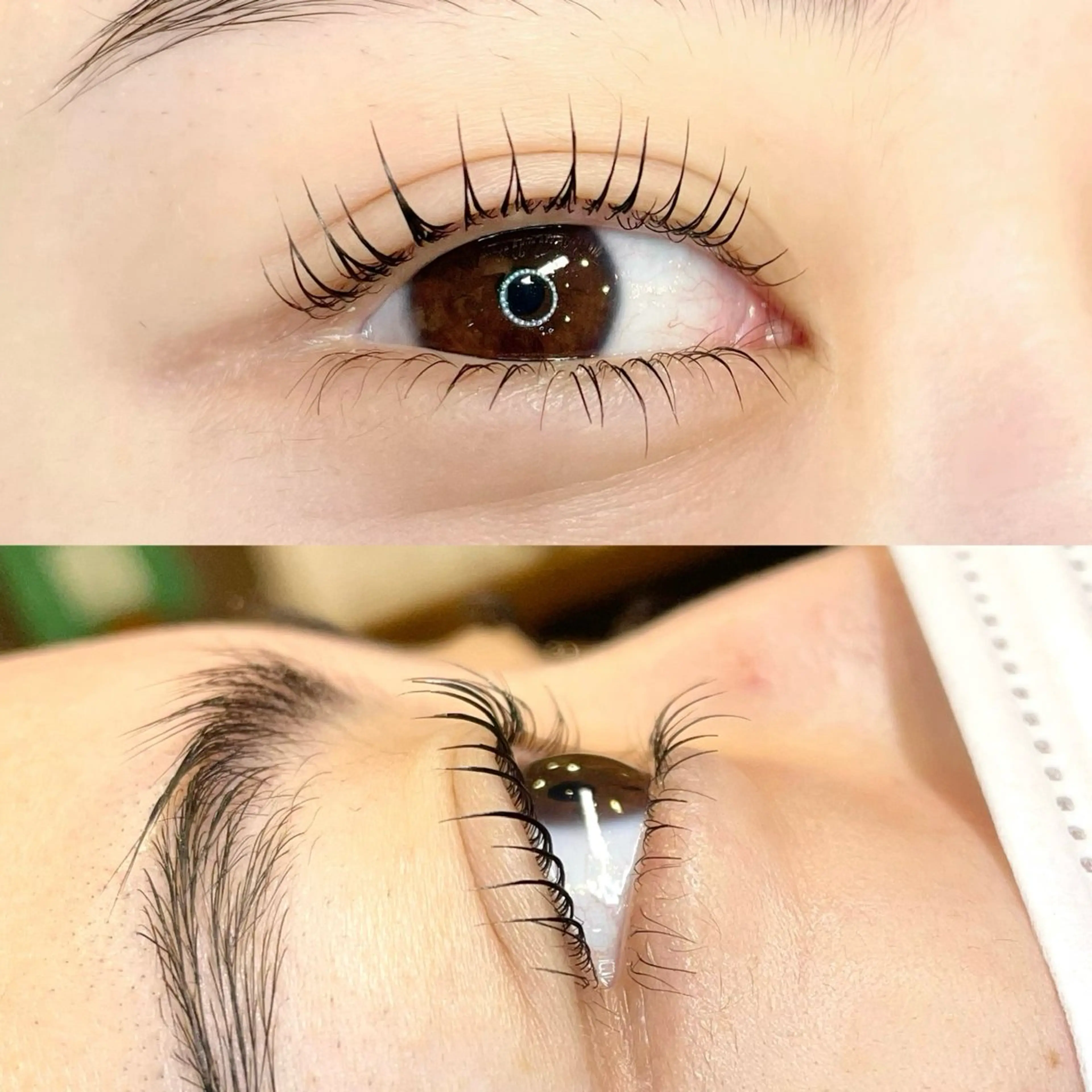上下まつ毛パーマ(ケアトリートメント付き)の写真
