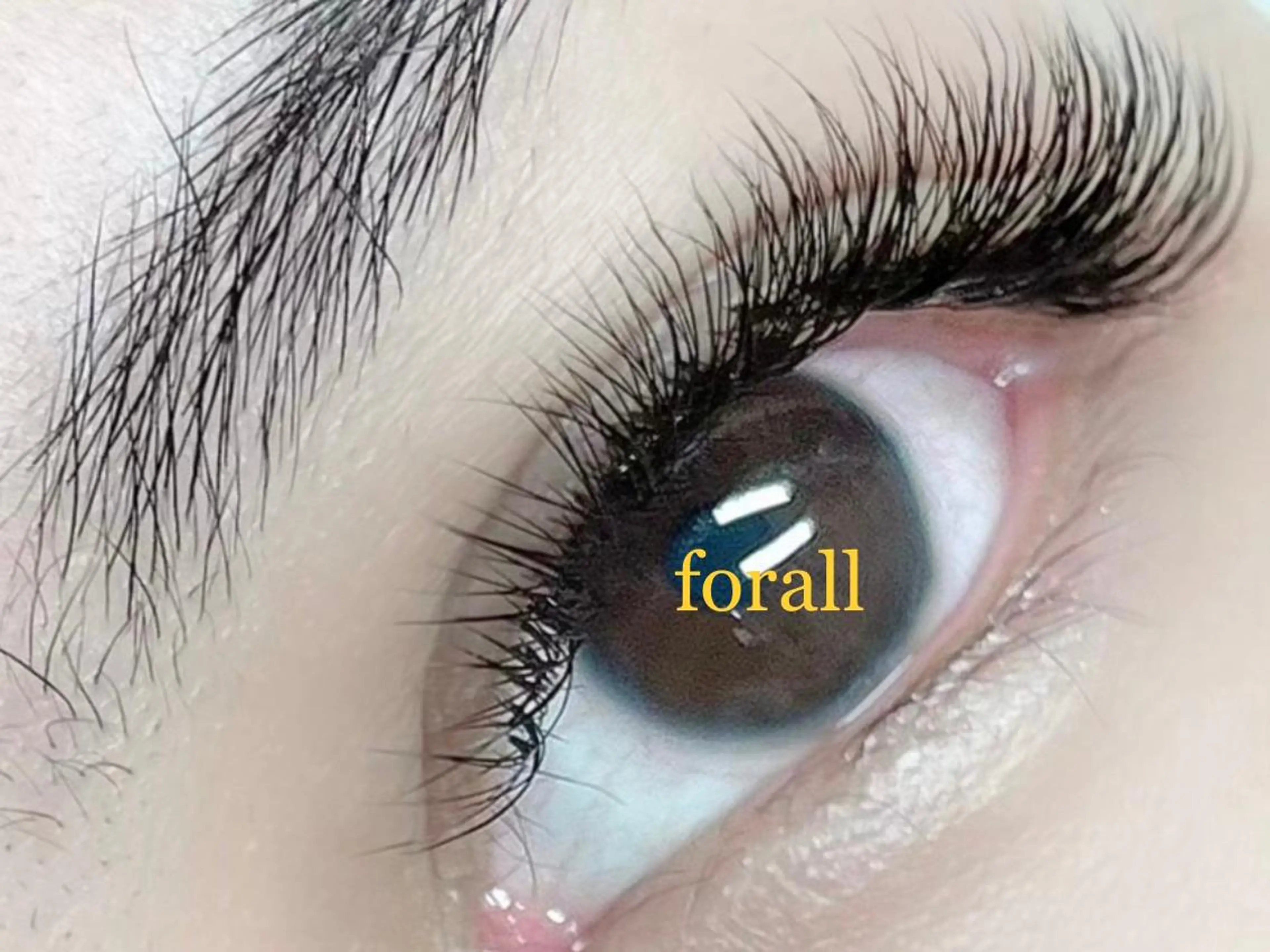 マツエク・マツパ フォーラル 福岡のマツエク・マツパデザイン