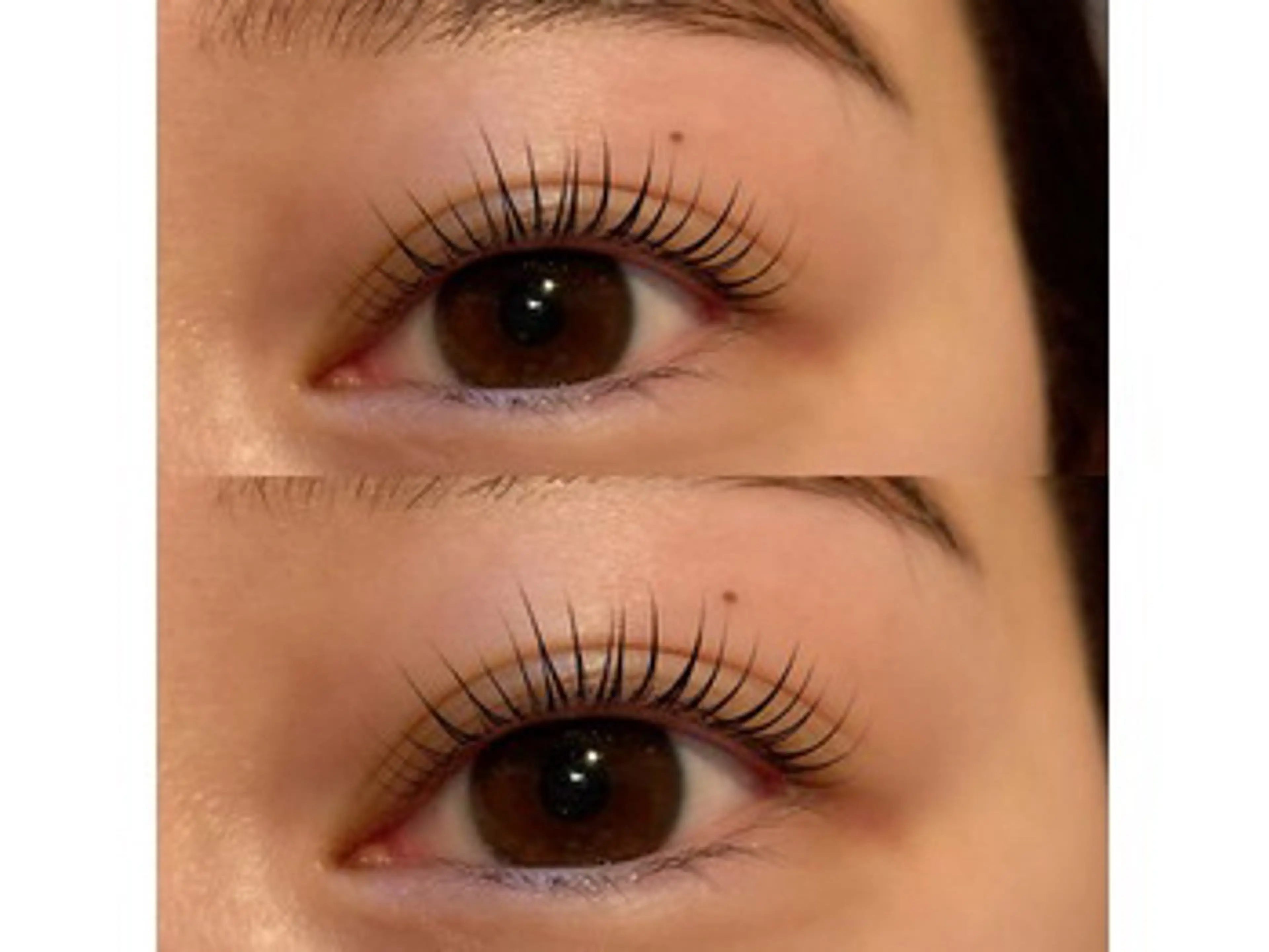 マツエク・マツパ パリジェンヌラッシュリフト 🌻emma桃山台 吉岡🌻のマツエク・マツパデザイン