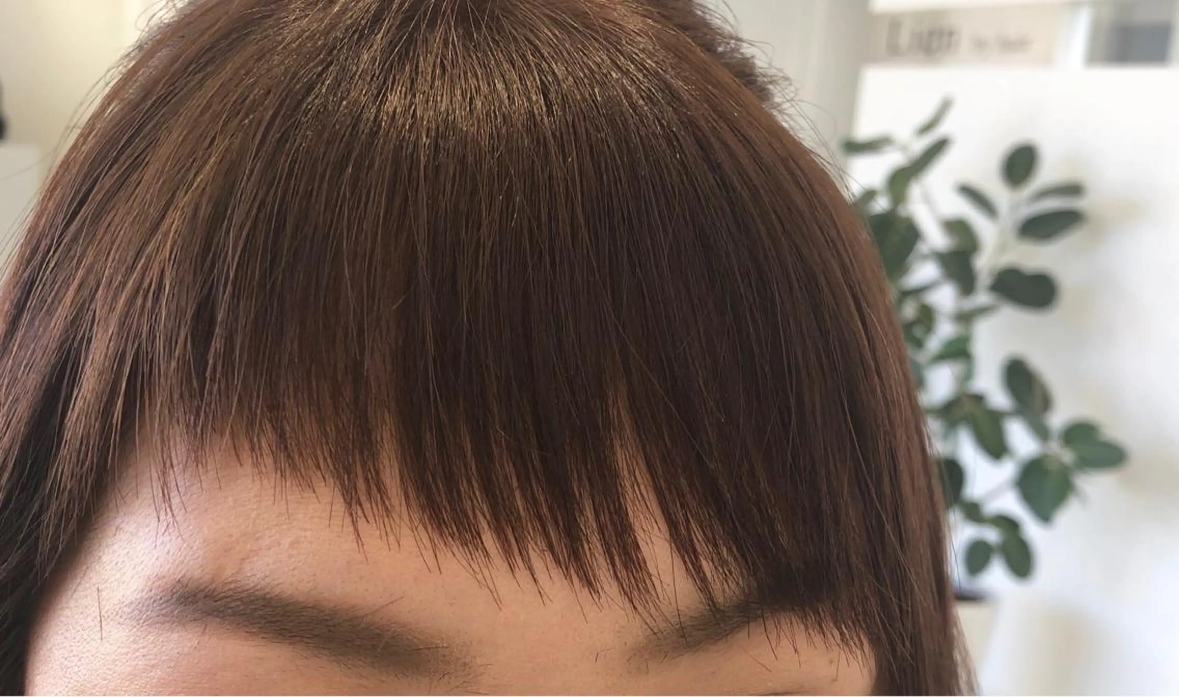 宮崎 睦のヘアスタイル