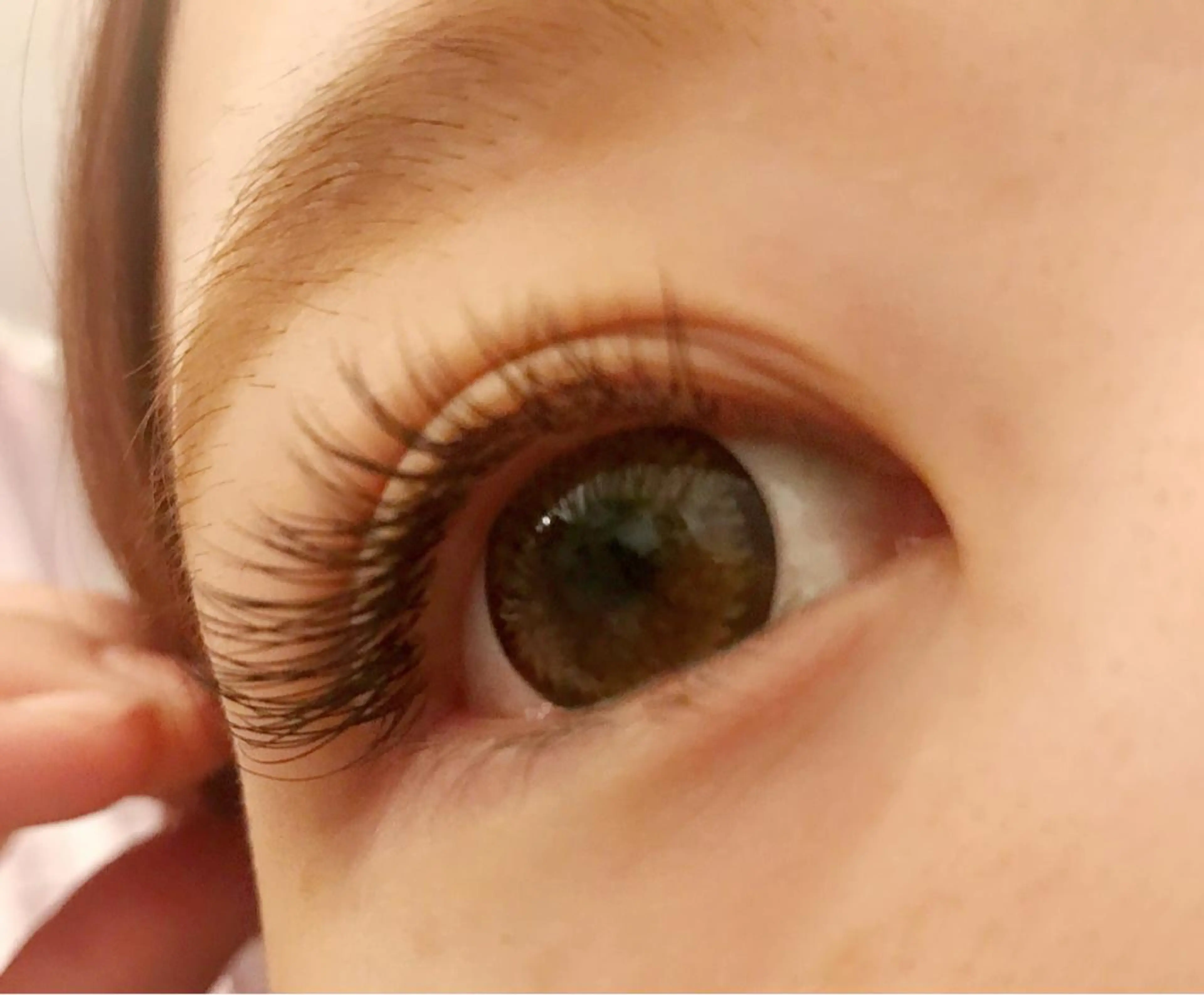 最高級シングルセーブル140本の写真