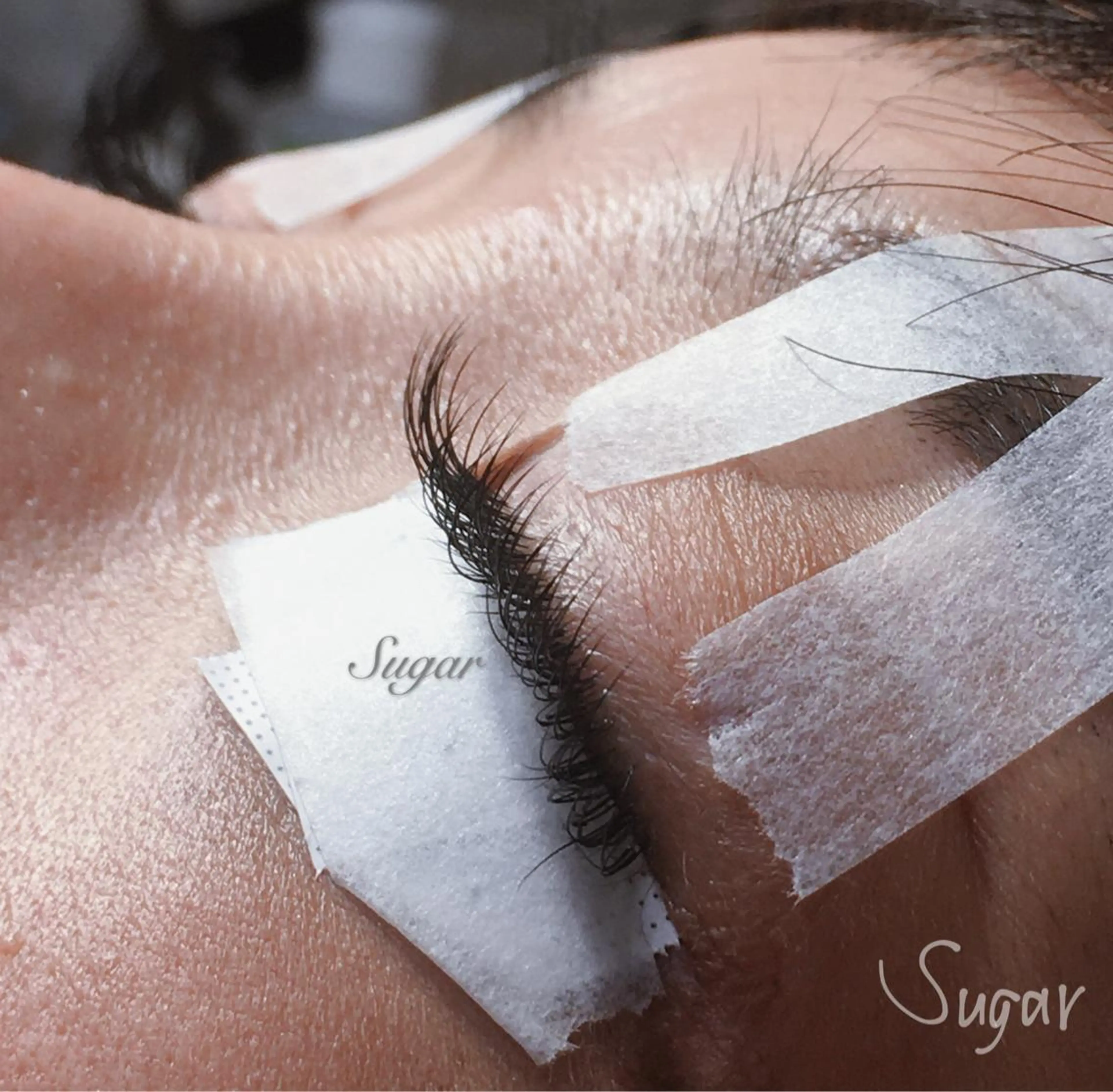 フラットラッシュ120本の写真