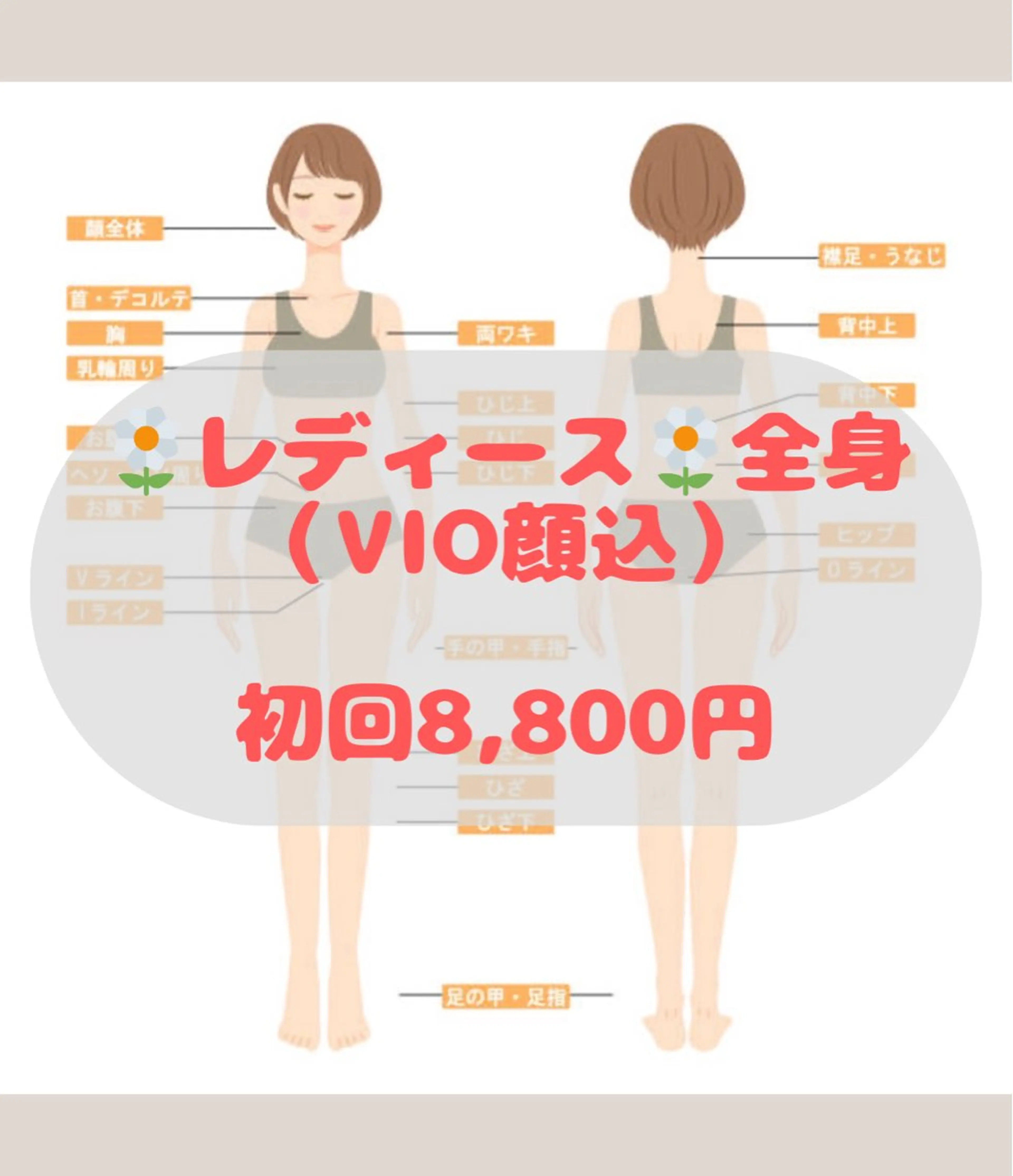 人気No.1🌼レディース🌼全身脱毛（VIO、顔有）✨まんべんなく全身✨の写真