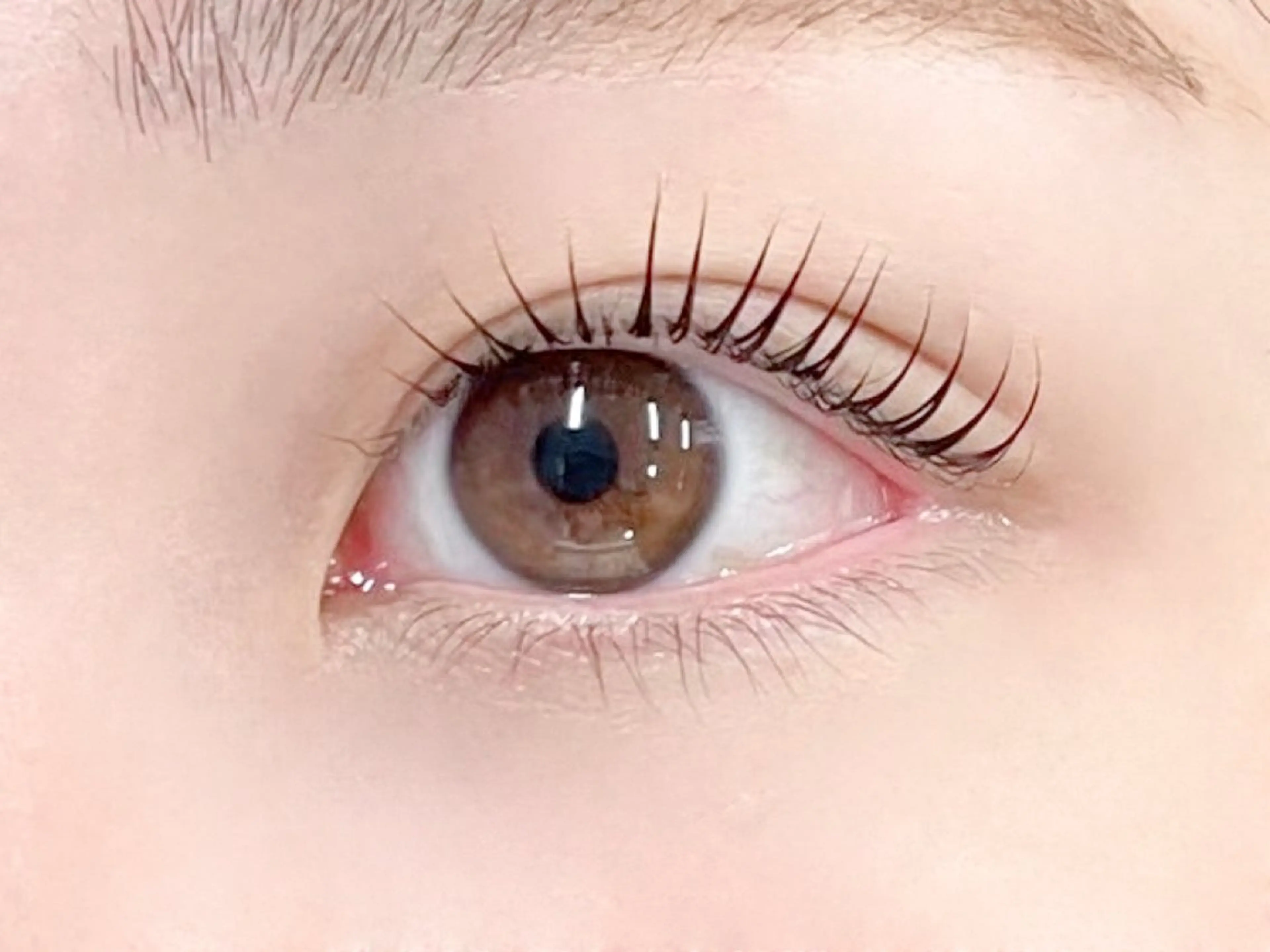 マツエク・マツパ マツパ LUCIA ルチアの眉毛・アイブロウイメージ