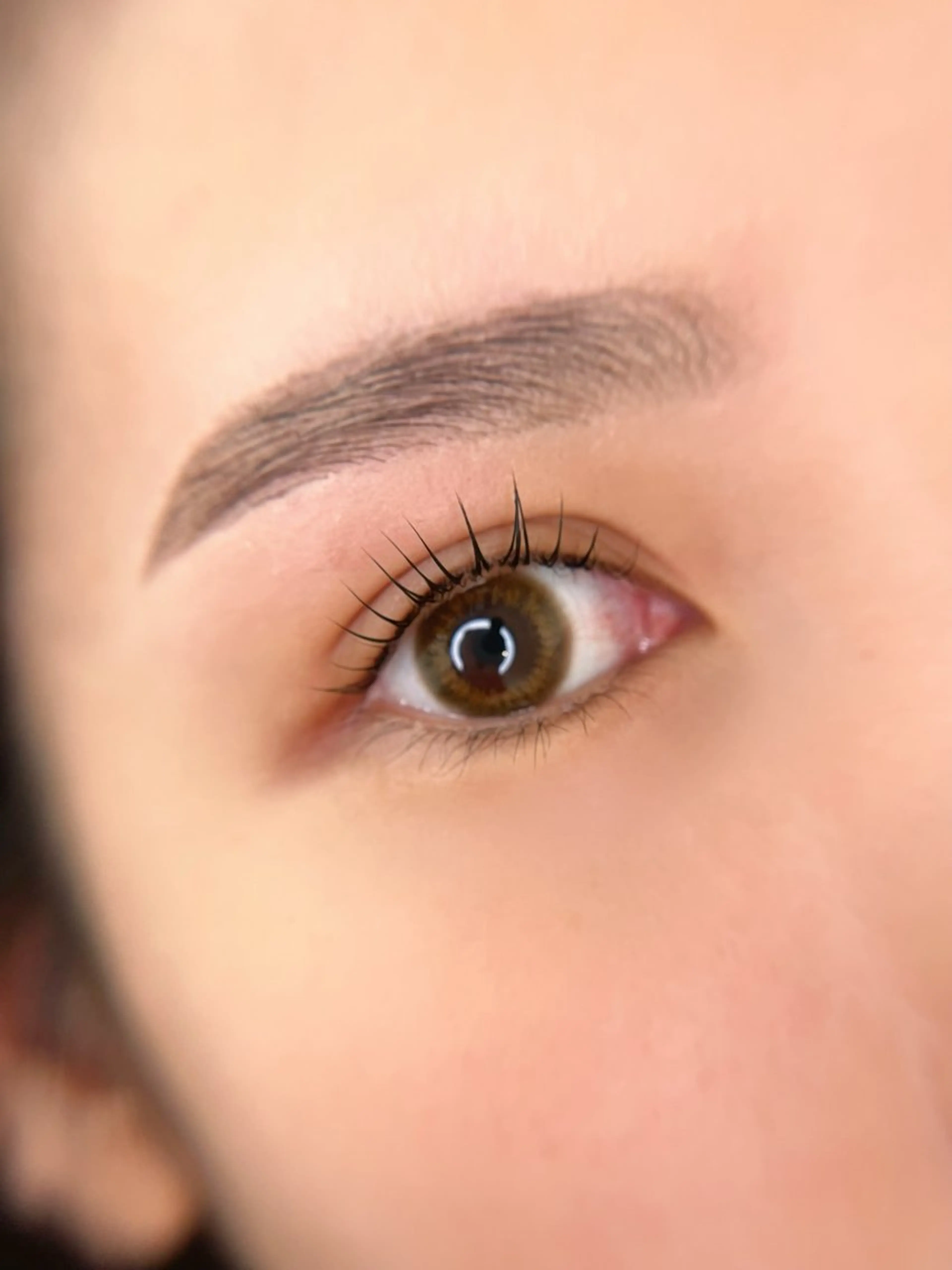 ハリウッドブロウリフト＋まつげパーマ🖤ケラチンTr付き/まつ毛と眉毛同時施術で一気に垢抜け✨現金のみの写真