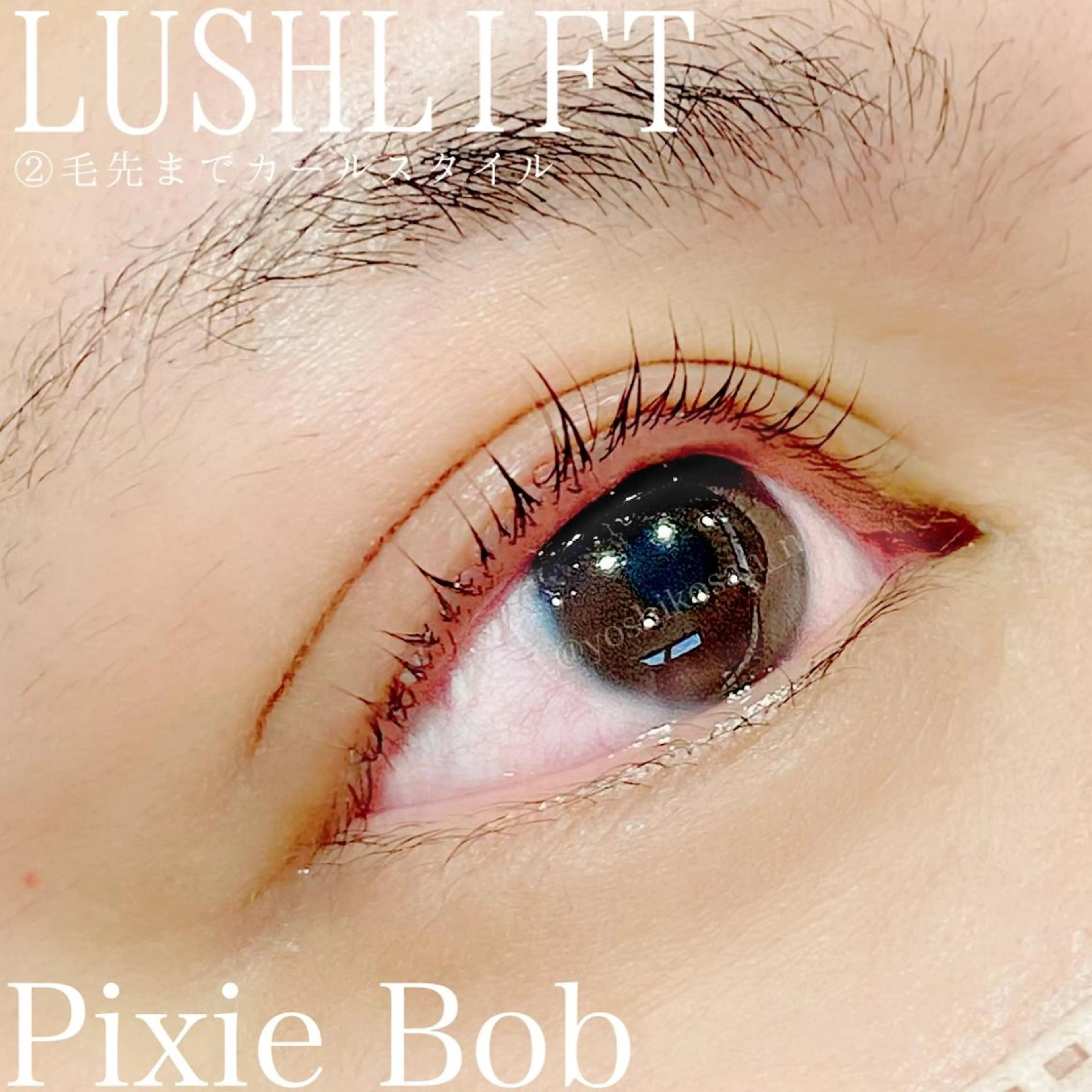 マツエク・マツパ 一重×まつ毛パーマ マツパ Pixie Bob 🐈‍⬛　位田のマツエク・マツパデザイン