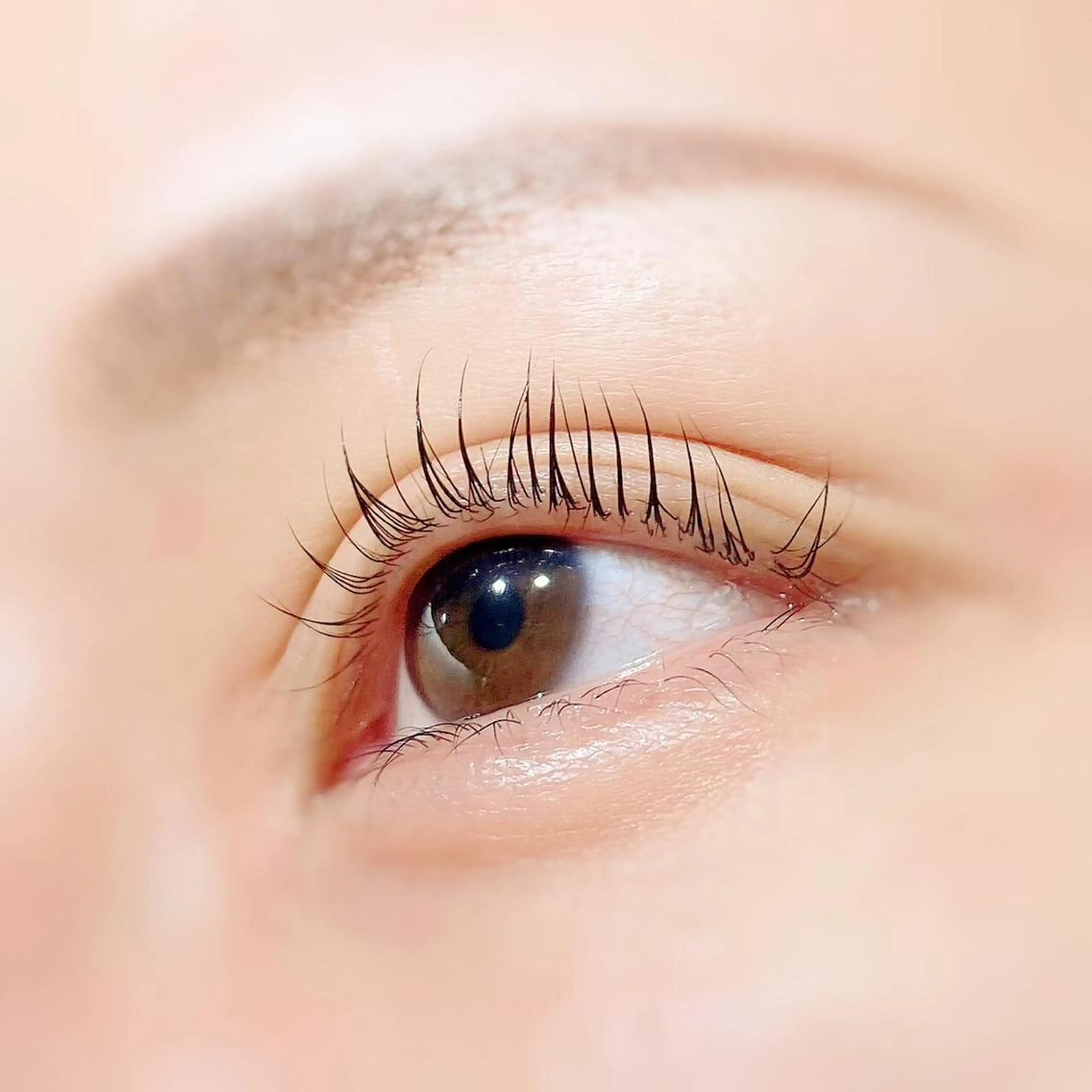 マツエク・マツパ マツパ 店長💎 ハラダの眉毛・アイブロウイメージ