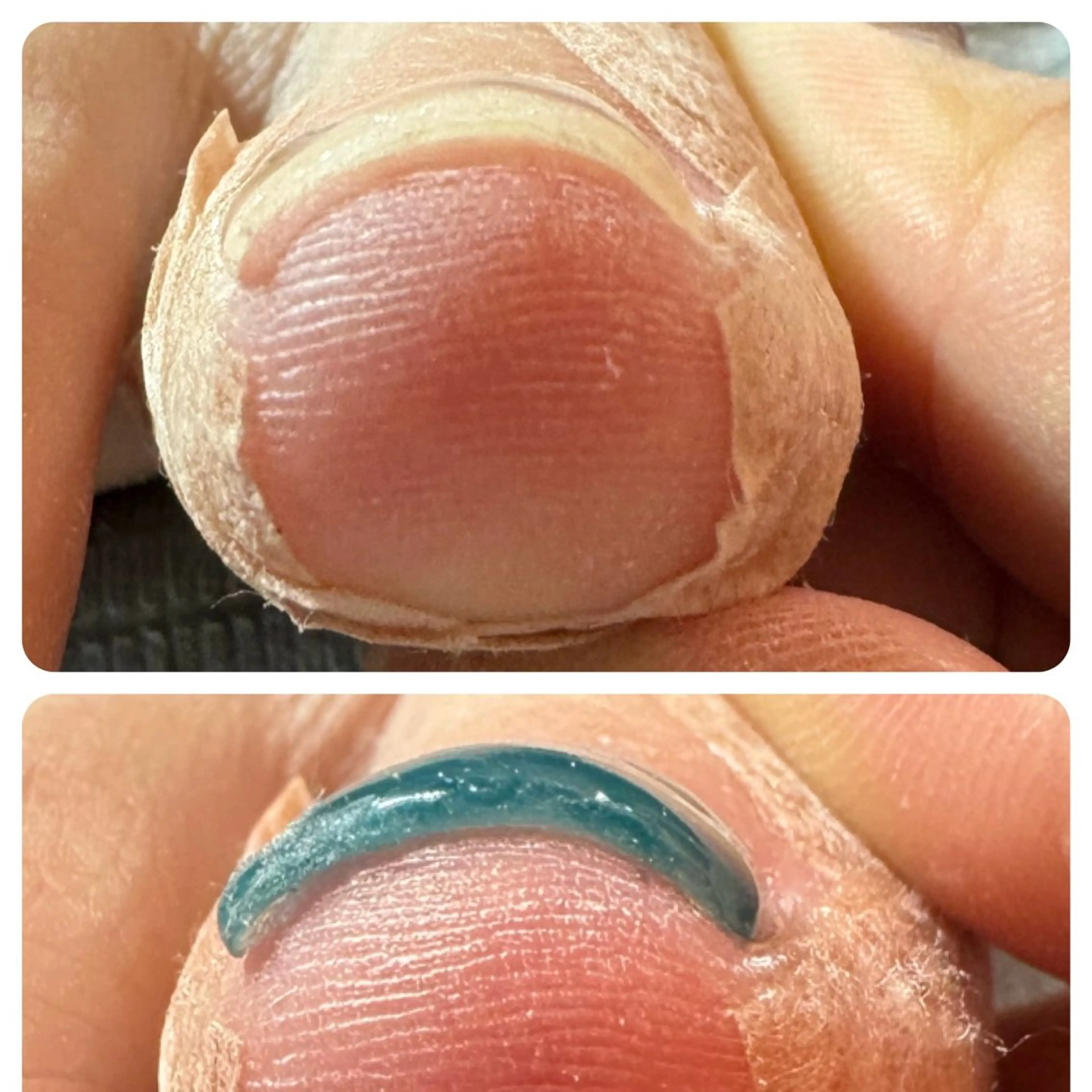 ネイル フットネイル Feel ‪‪☺︎‬Yuriaのネイルデザイン