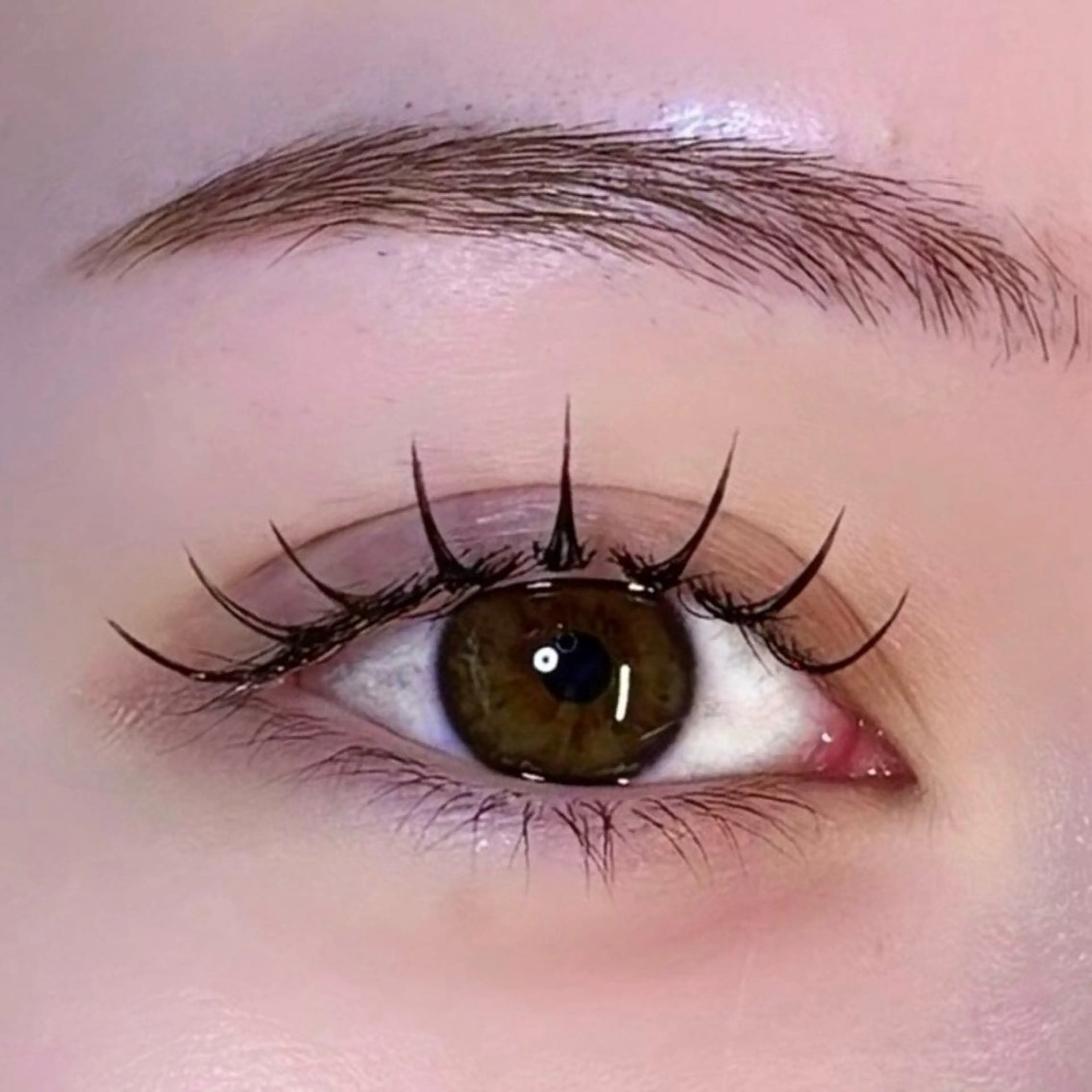 パリジェンヌラッシュリフトorラッシュリフト（まつ毛パーマ）￥1000の写真