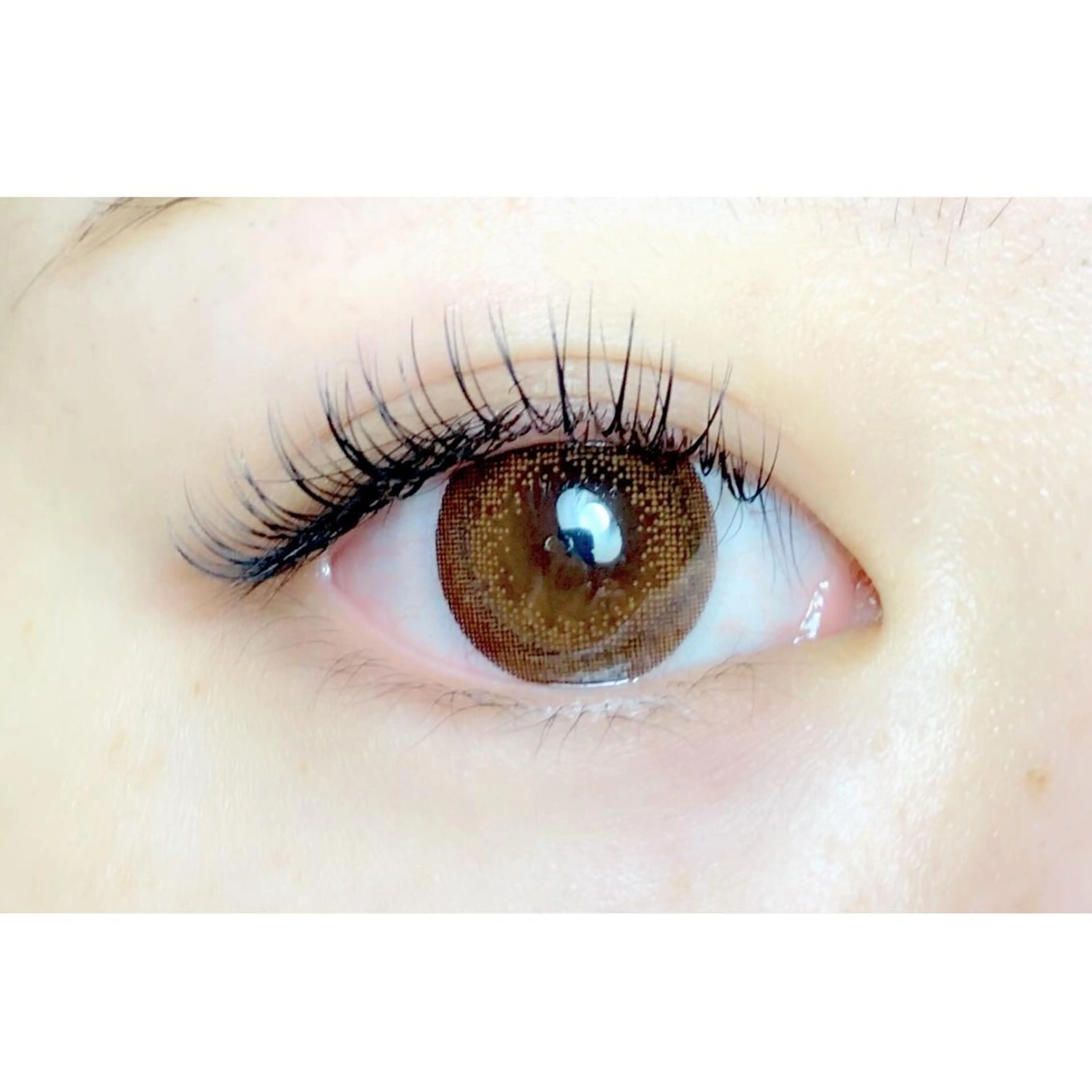 セーブル120本/オフ、コーティング込みの写真