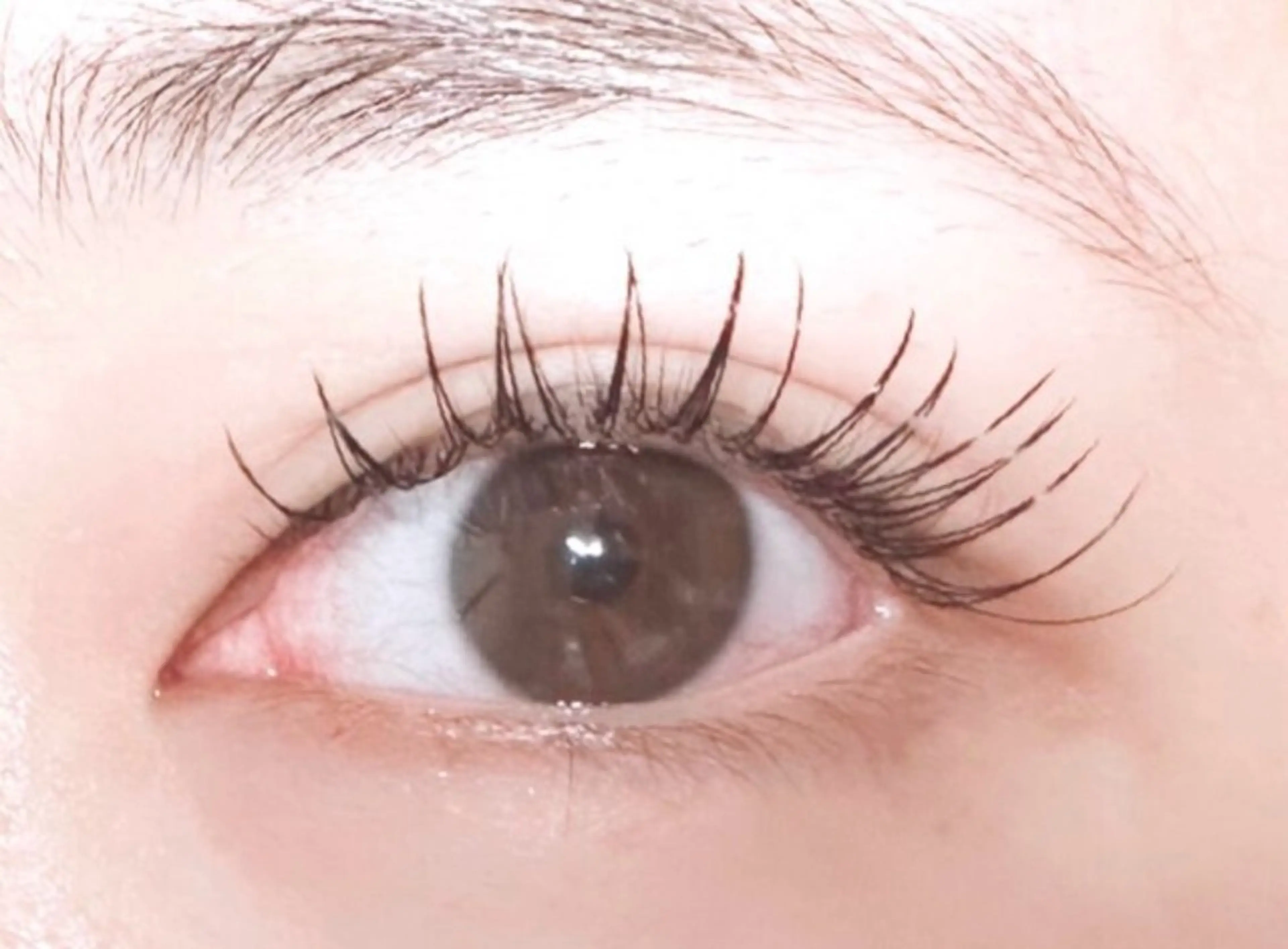 ❣️オフ不可【フラットラッシュ】120本❣️ コーティング付き 2980円の写真