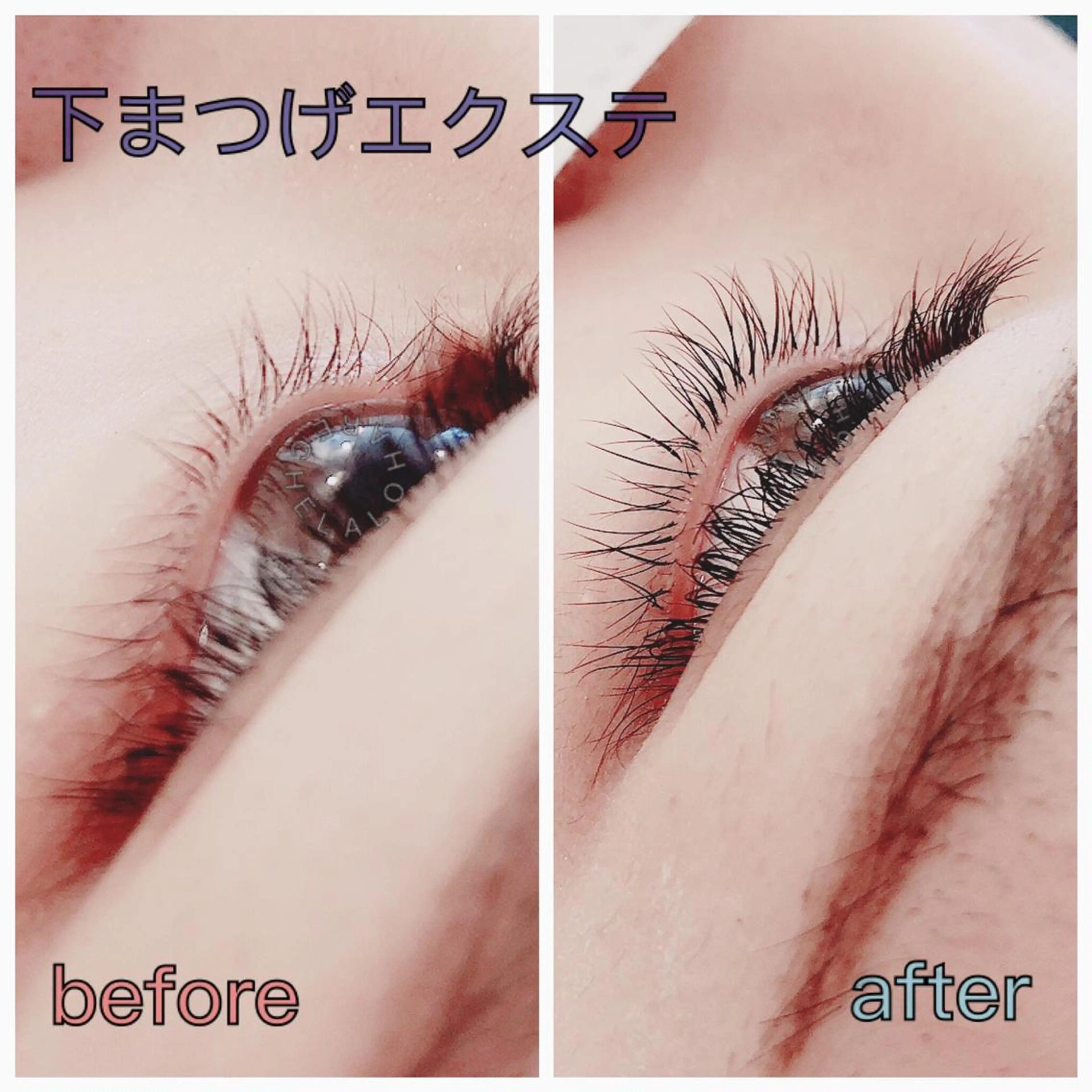 マツエク・マツパ 下まつげエクステ リシェルアロハ 川西能勢口店所属・RECHEL ALOHA川西店のマツエク・マツパデザイン