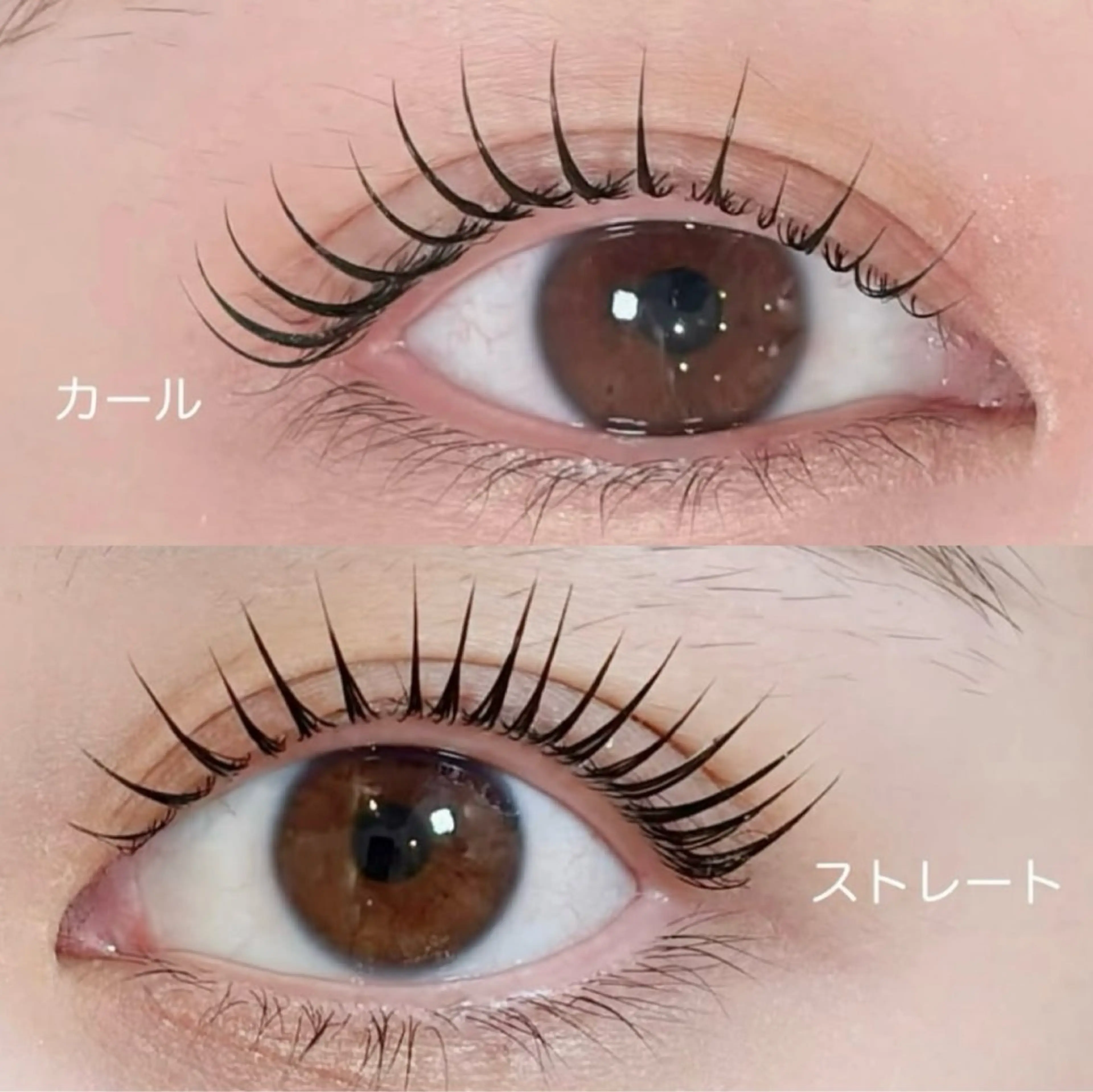 𓇼パリジェンヌorまつ毛パーマ【アイシャンプー・コーティング剤付き】の写真