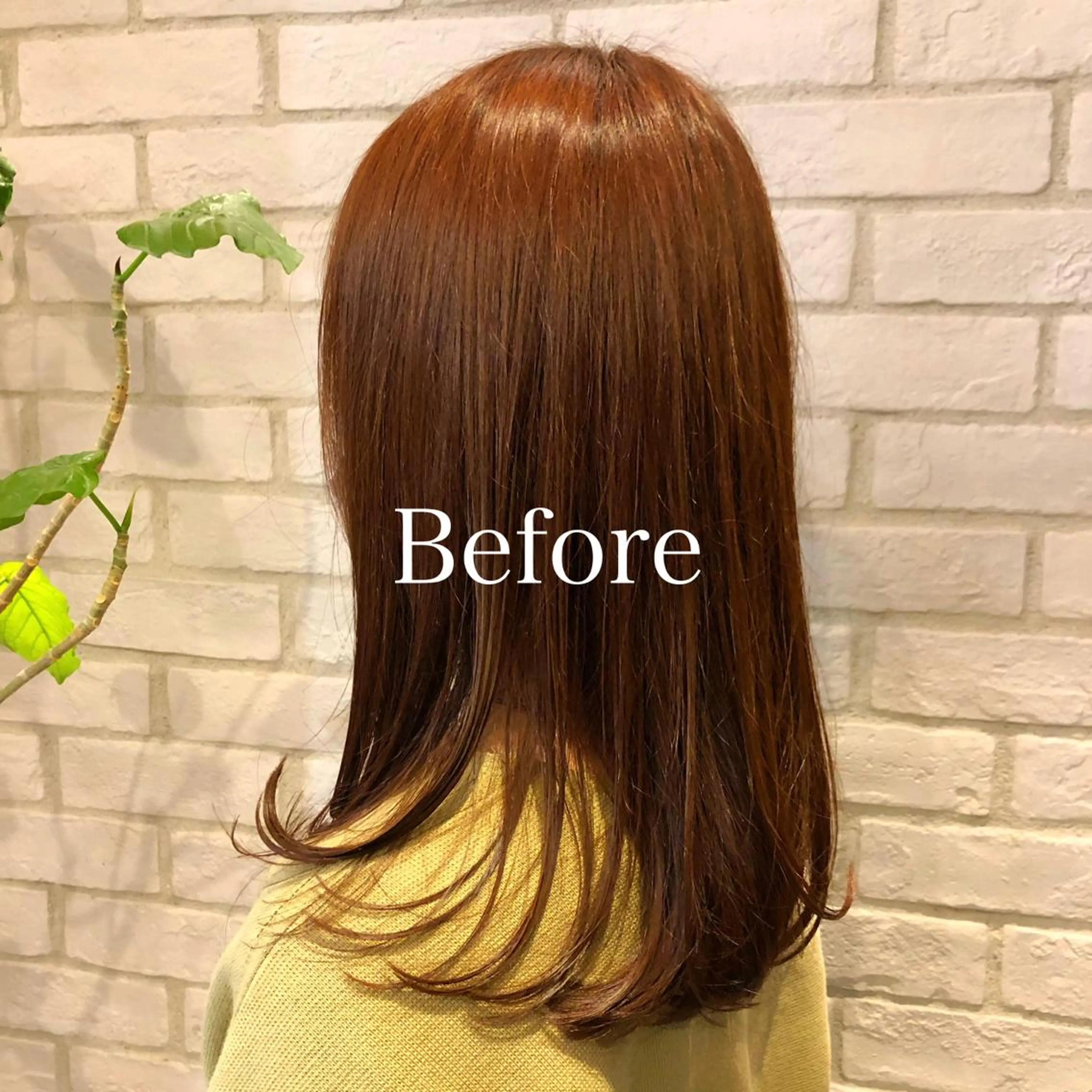 セミロング カラー レディースヘア💫 加藤たいが🐯のヘアスタイル