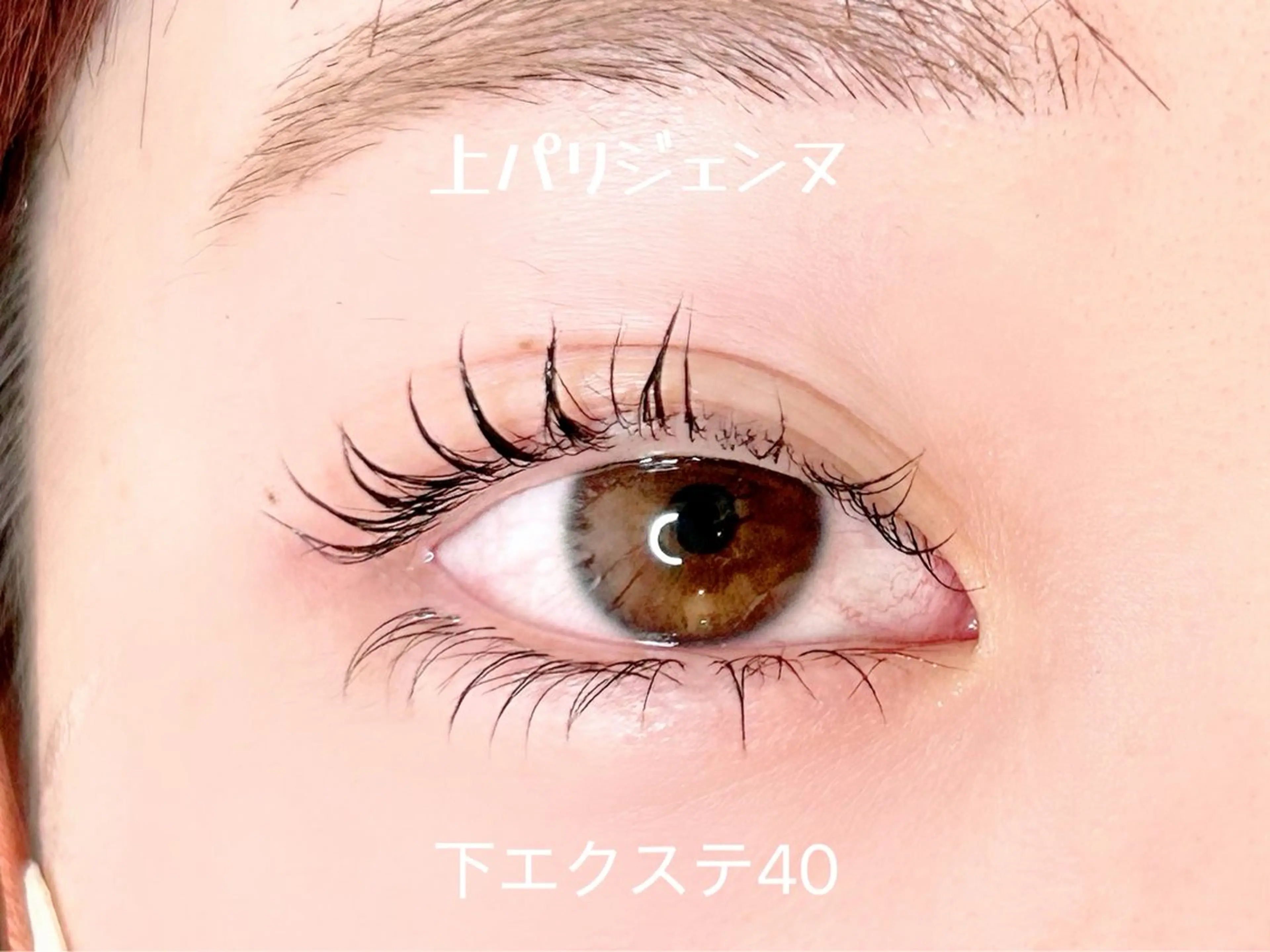 マツエク・マツパ ナチュラル パリジェンヌラッシュリフト 下まつげエクステ マツパ elua eyelashの眉毛・アイブロウイメージ