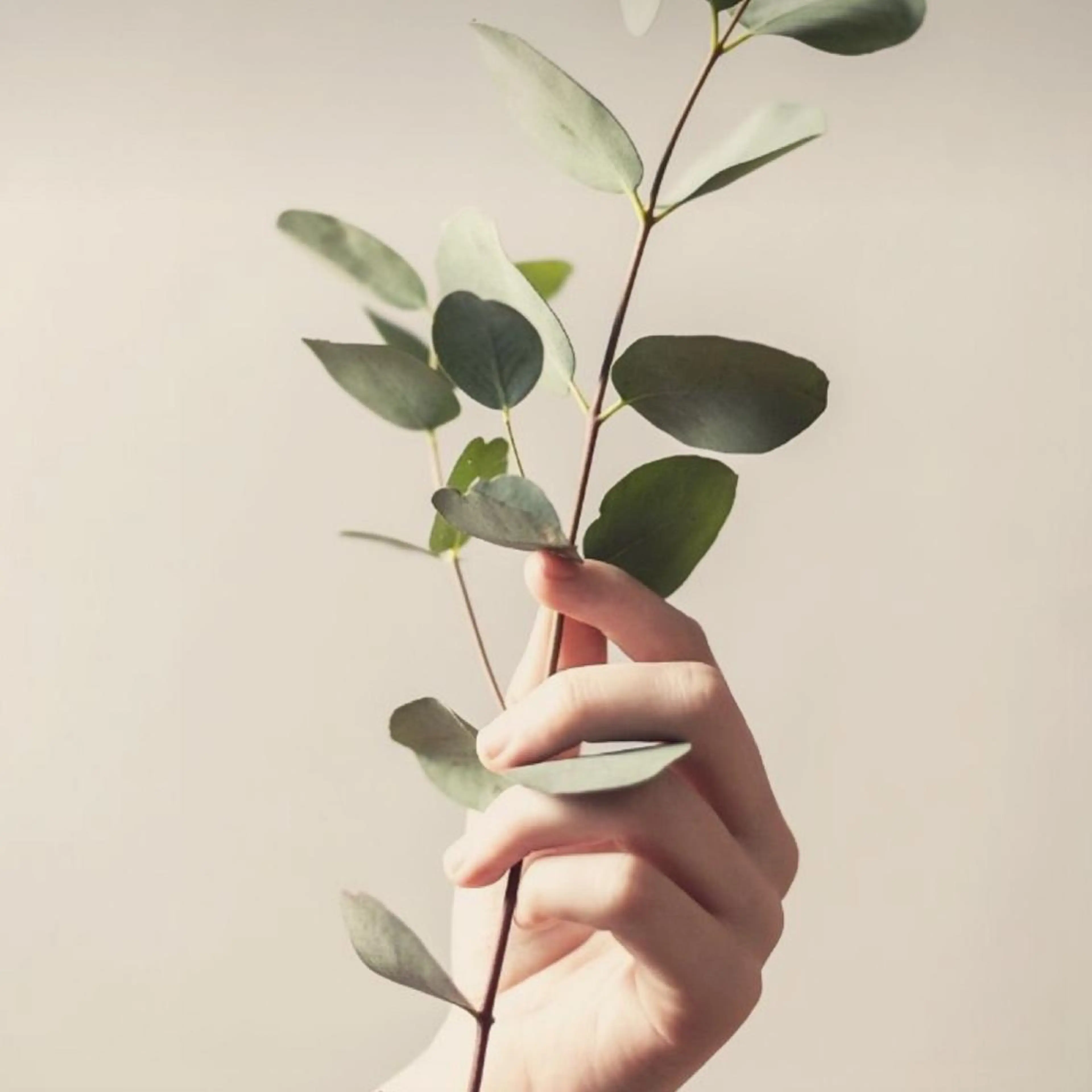 ネイル nicolenail /emureのネイルデザイン