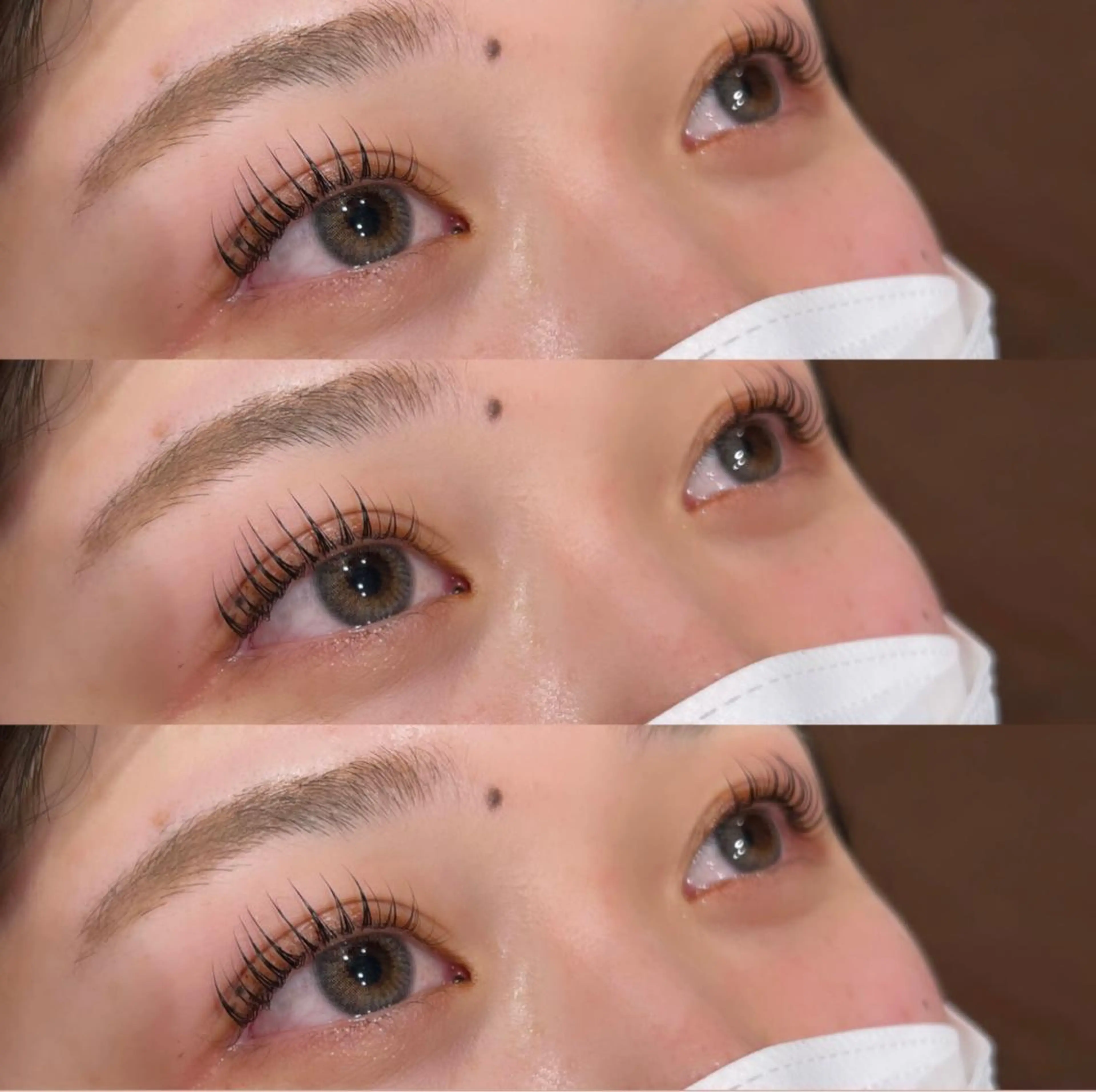 🌈3月限定🌈今だけ‼️『ご新規様のみ』パリジェンヌラッシュリフト🦋パリジェンヌ指名No.1の写真