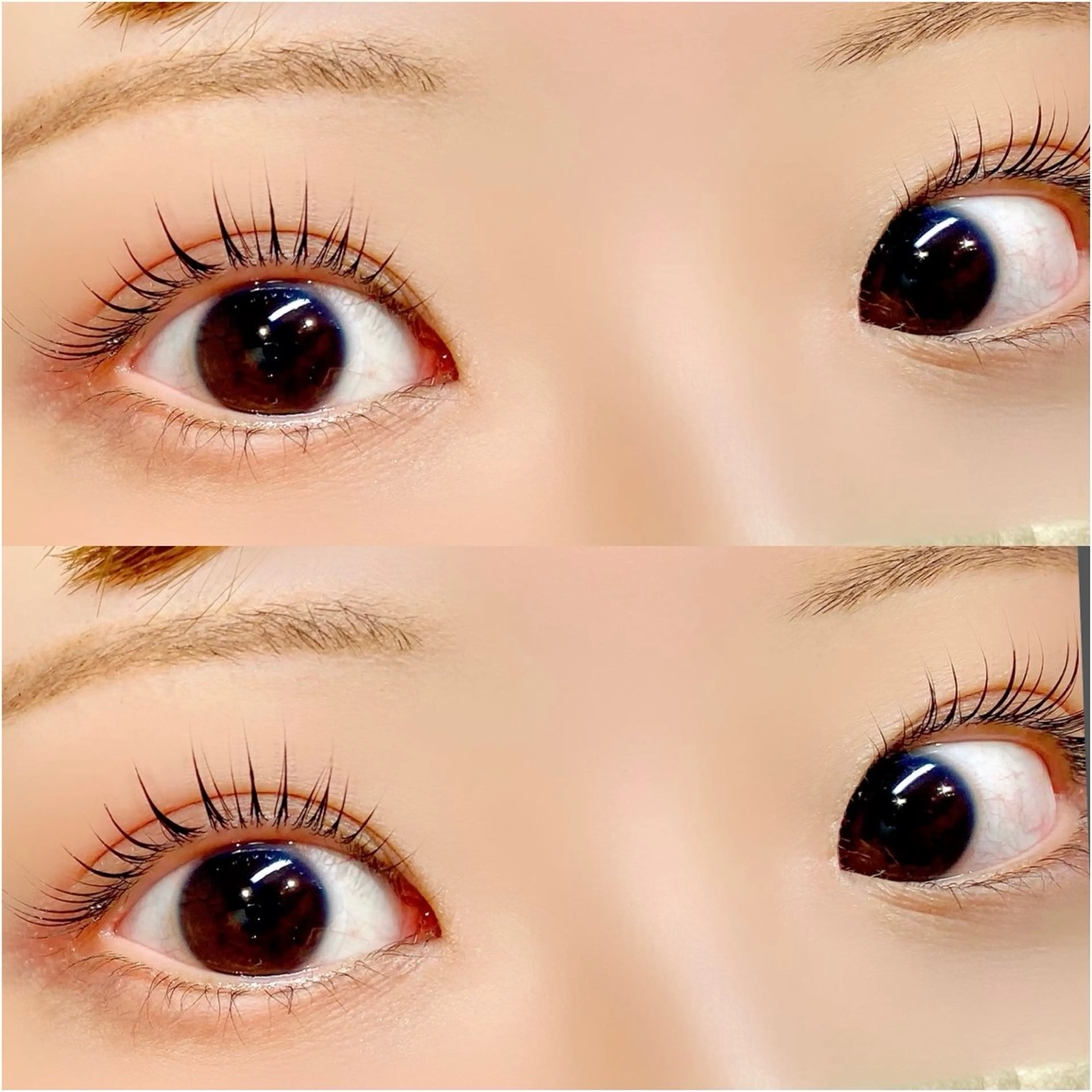 マツエク・マツパ マツパ ROCCOeast KAORI まつげ✨のマツエク・マツパデザイン