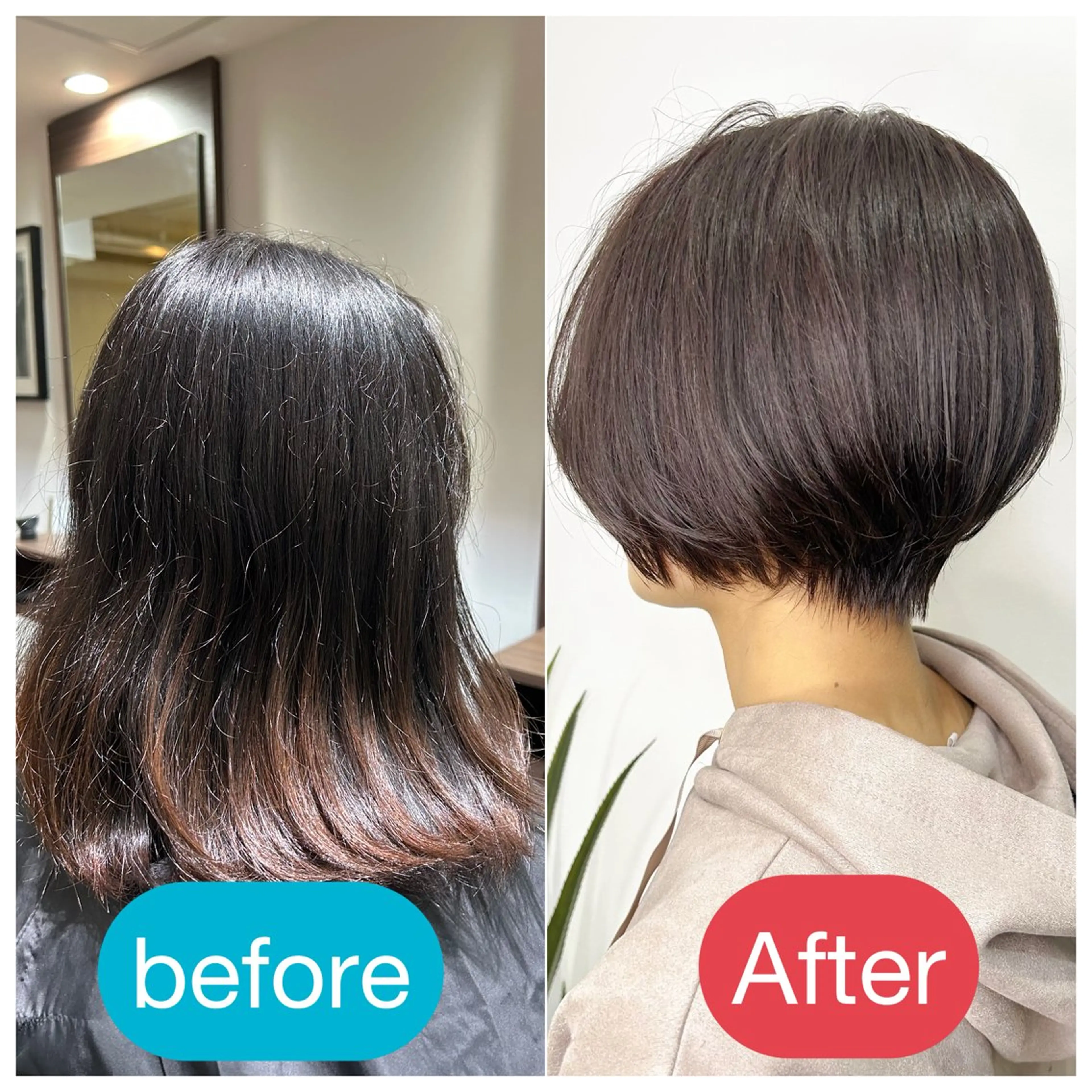 ショート ラベンダーベージュ 🧡縮毛矯正🧡 伊藤はるかのヘアスタイル