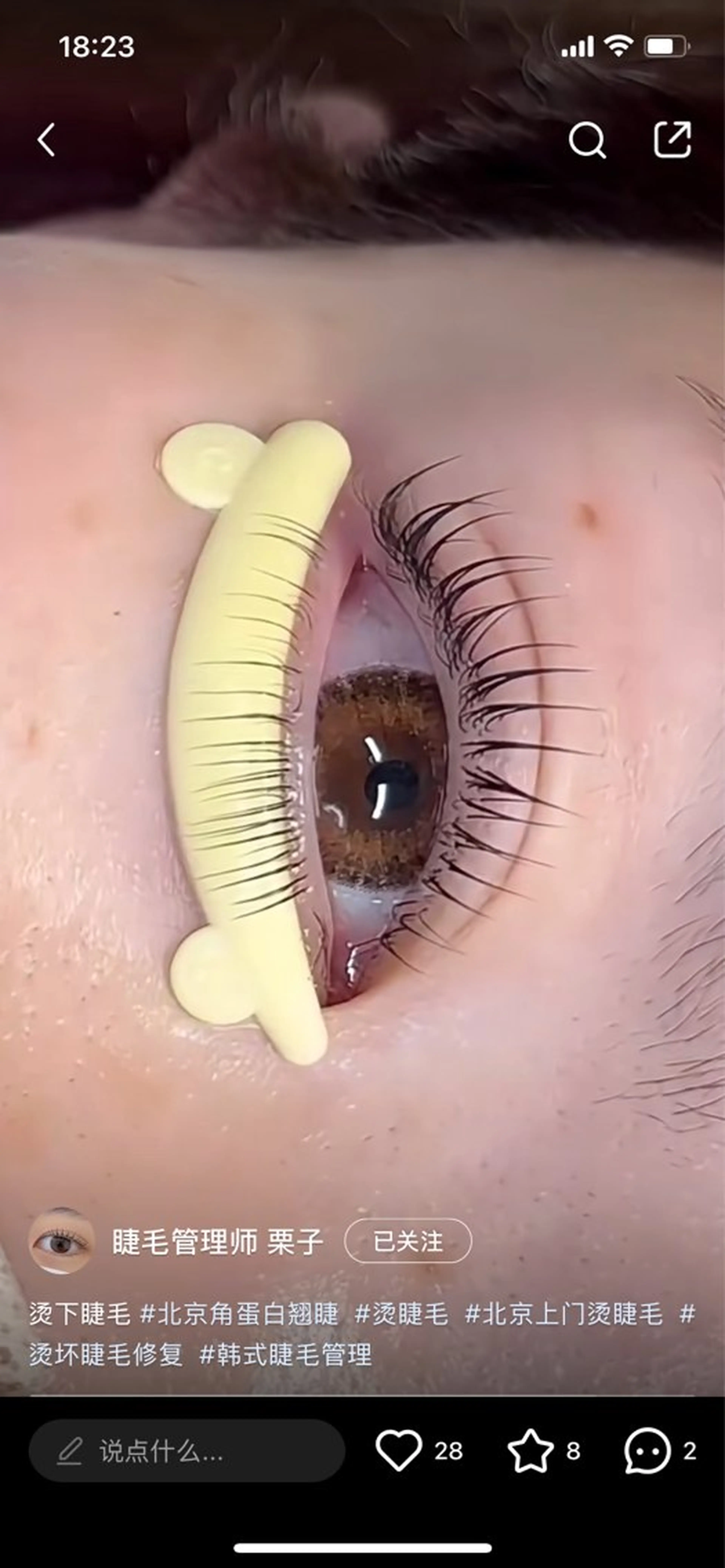 マツエク・マツパ Kllマツエク& まつげパーマ池袋店のマツエク・マツパデザイン