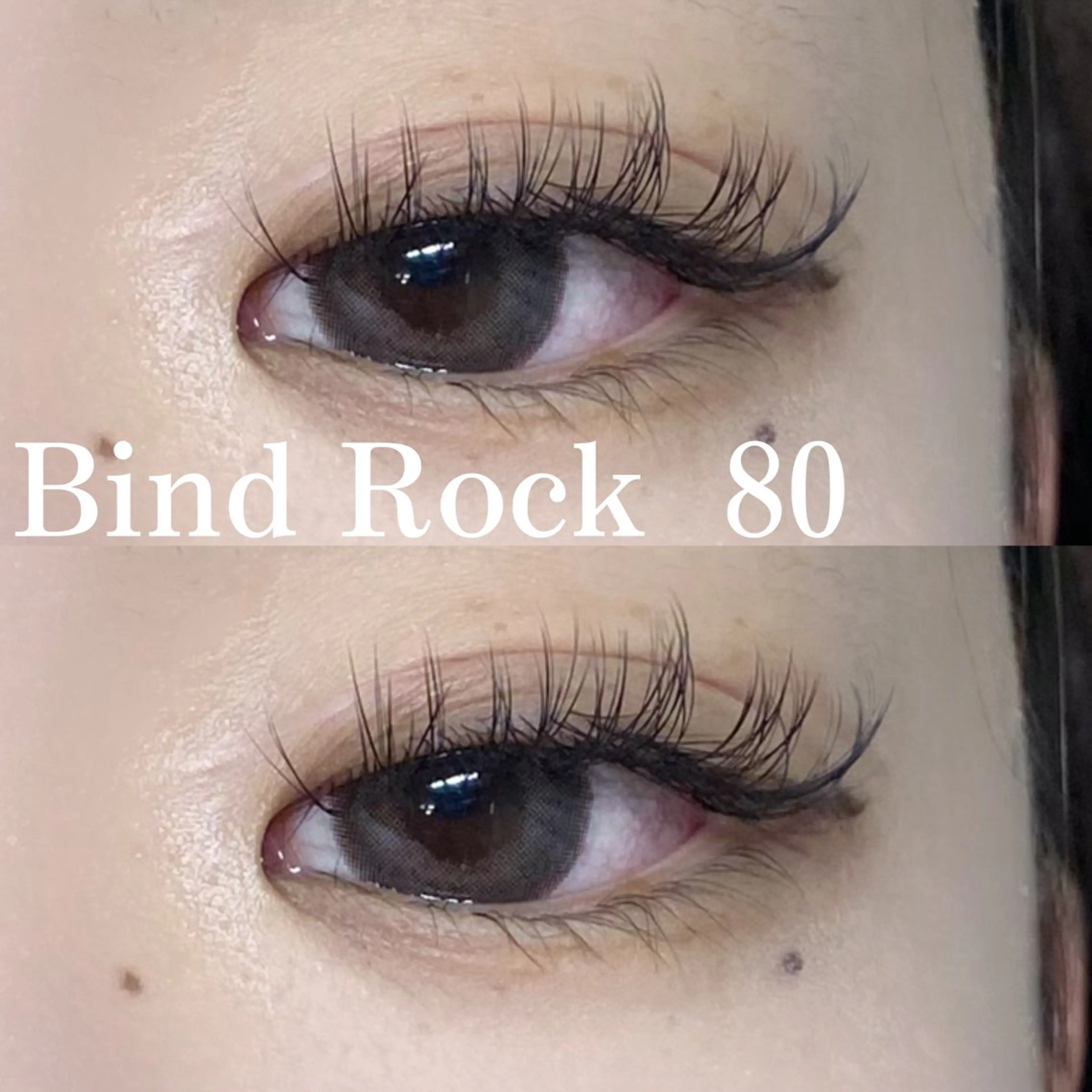 🐶〖バインドロック〗(80束)の写真