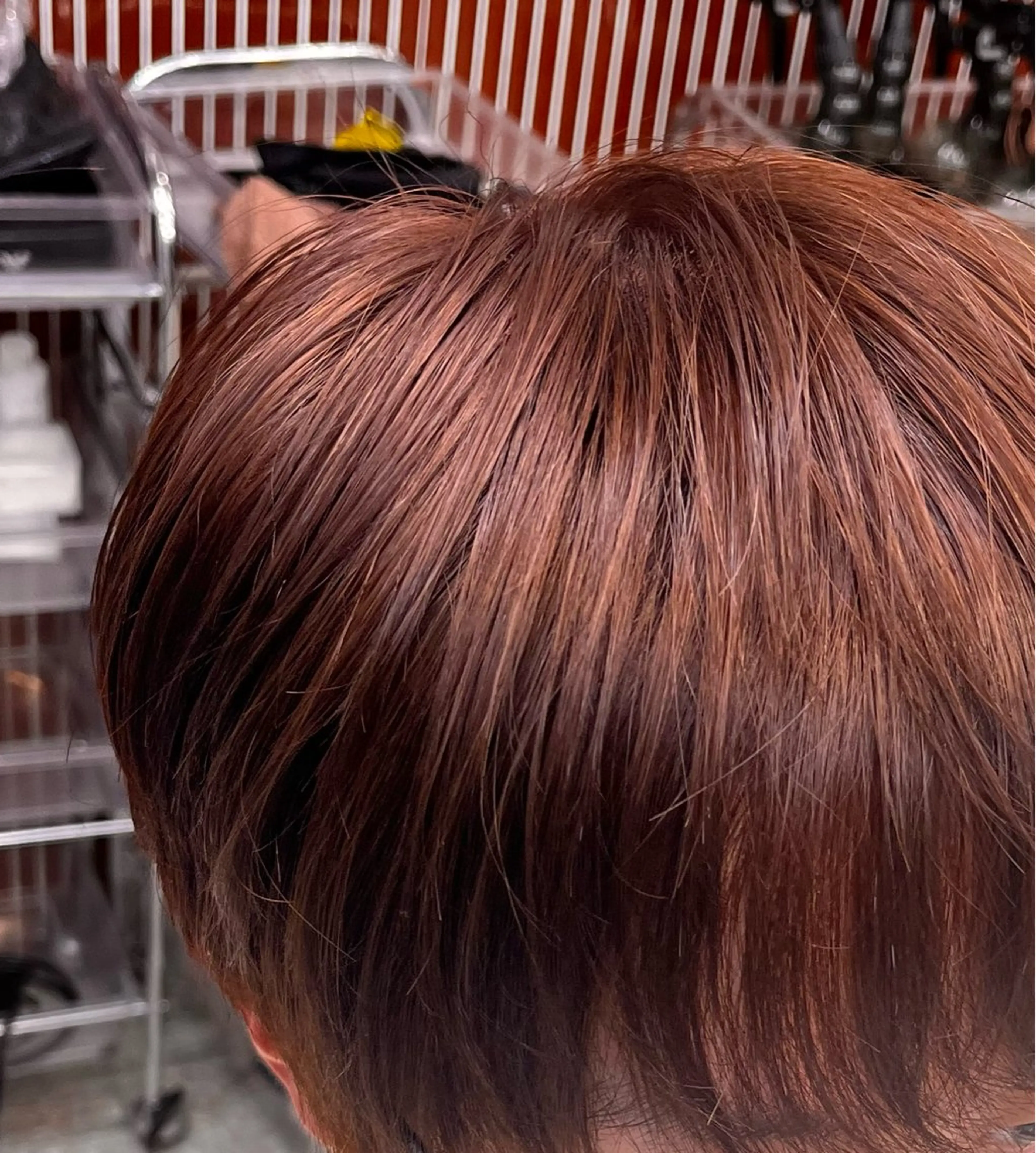 ショート カラー メンズ ヘアカラー fifth / 山下 和輝 海外風スタイルのヘアスタイル