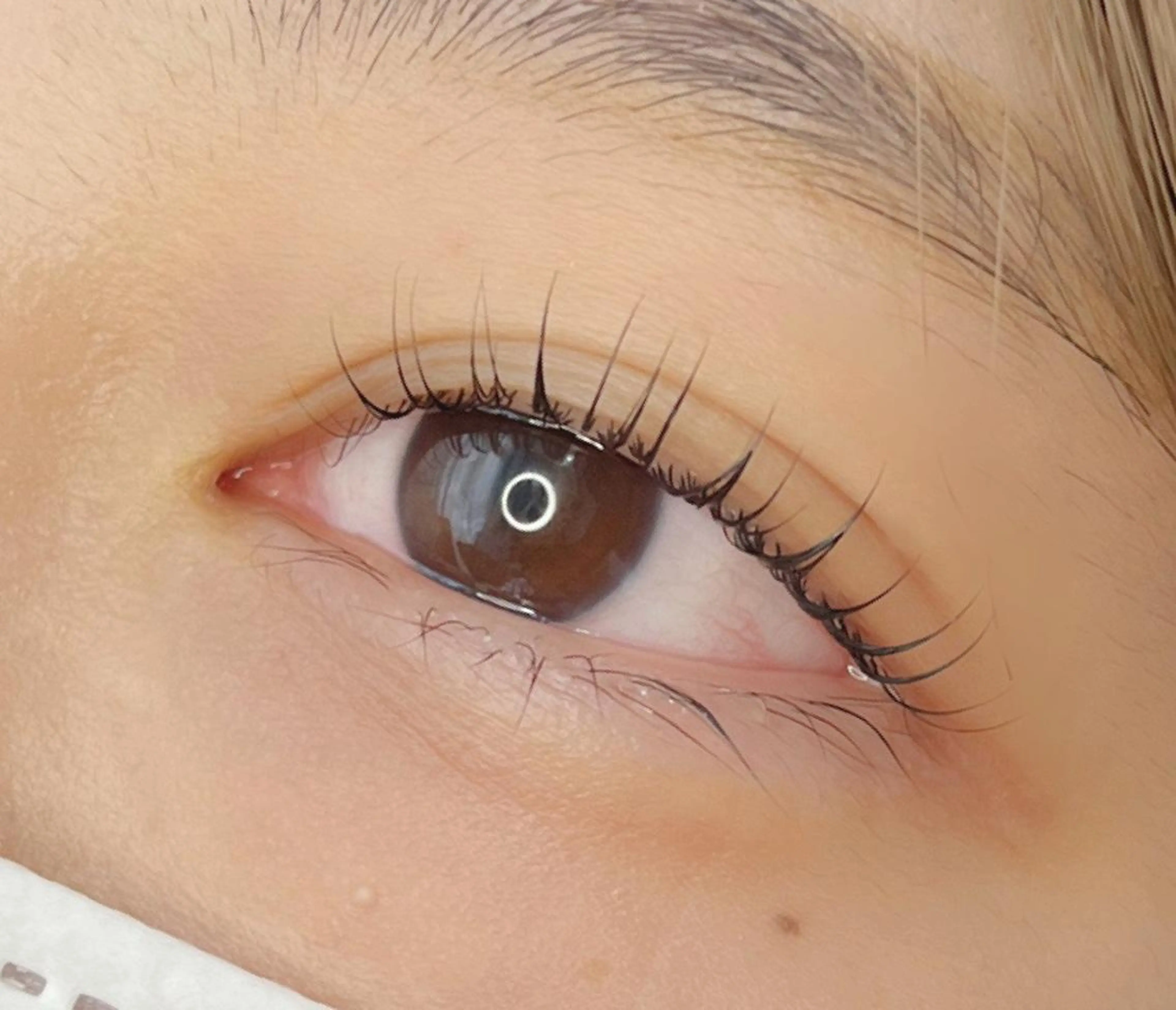 マツエク・マツパ 《eyelash ｉｉｔｅ》森のマツエク・マツパデザイン