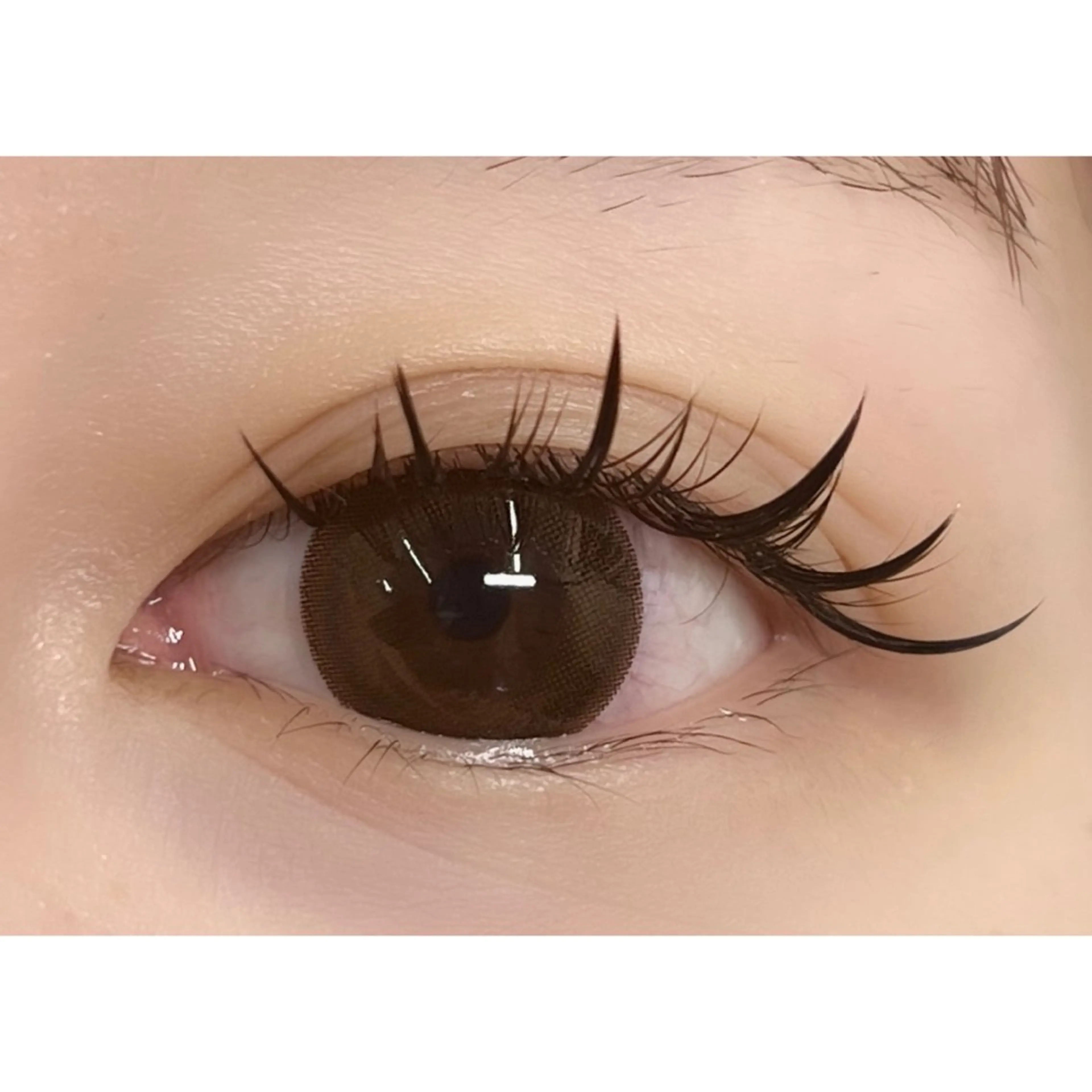 マツエク・マツパ ワンホンマツエク 西岡🌷 アンジェリカ錦糸町のマツエク・マツパデザイン