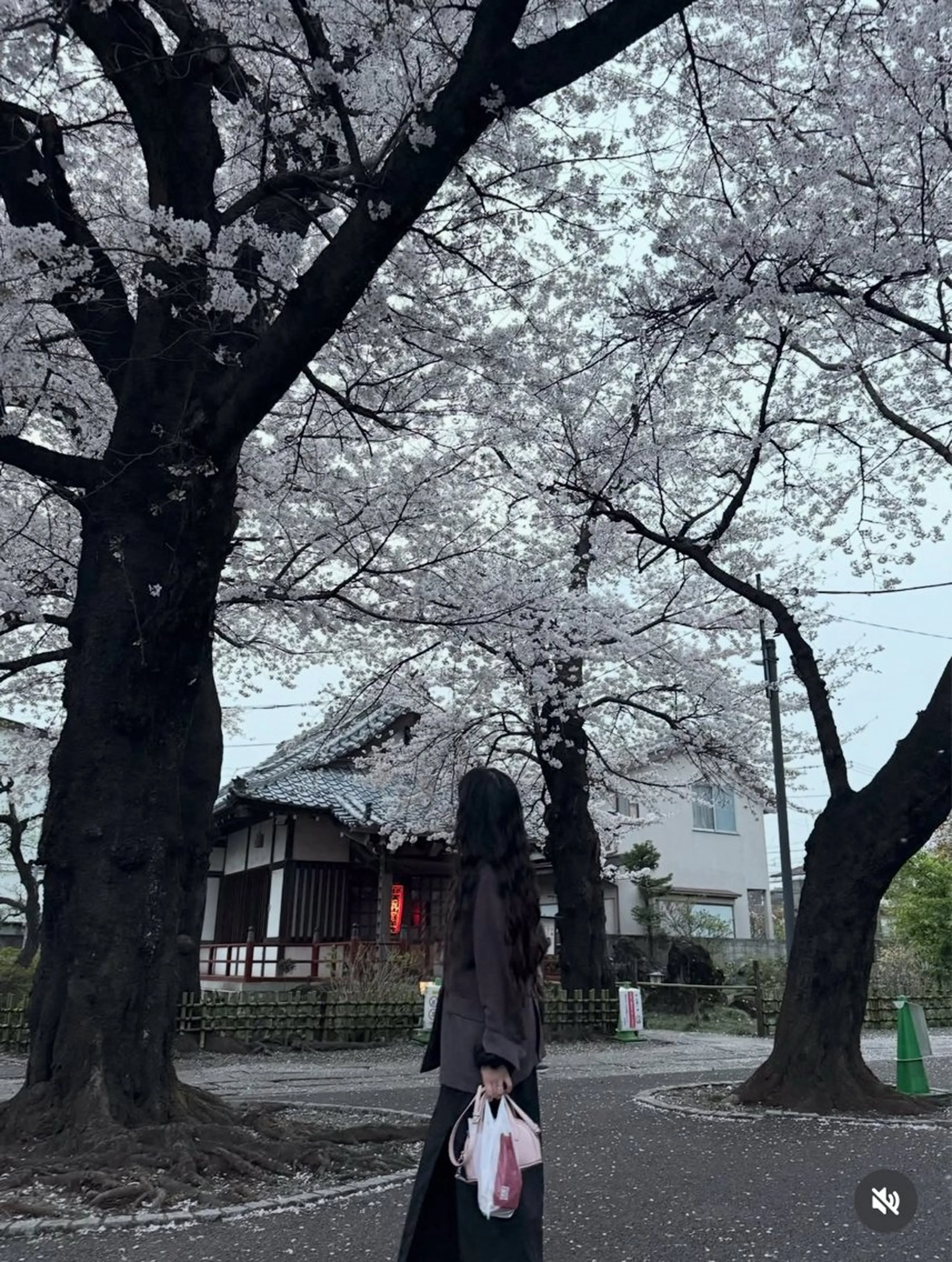 セミロング カラー カット ヘアカラー stylist 🌸 kana.のヘアスタイル