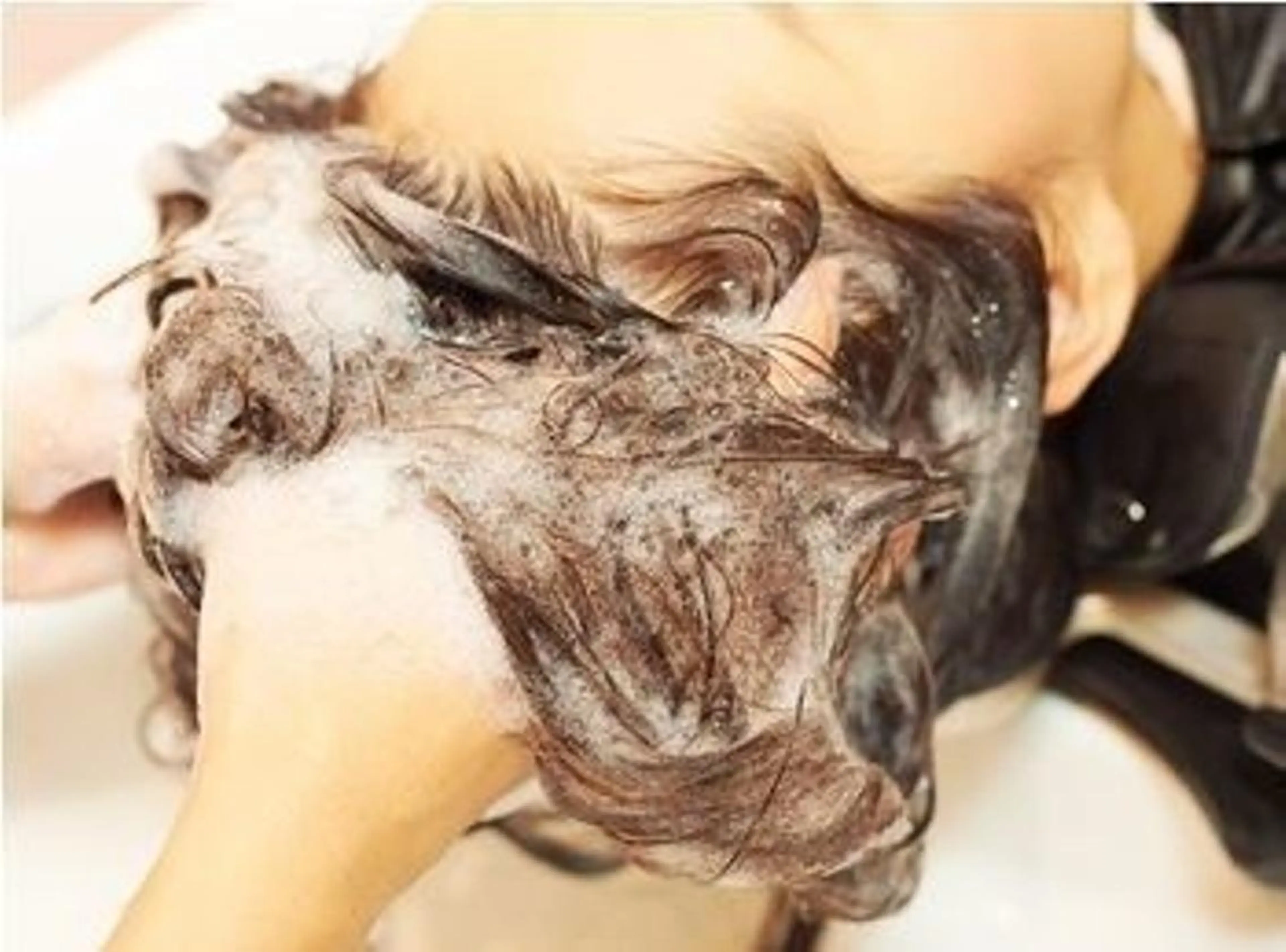 マンツーマン施術🫧 なつのヘアスタイル