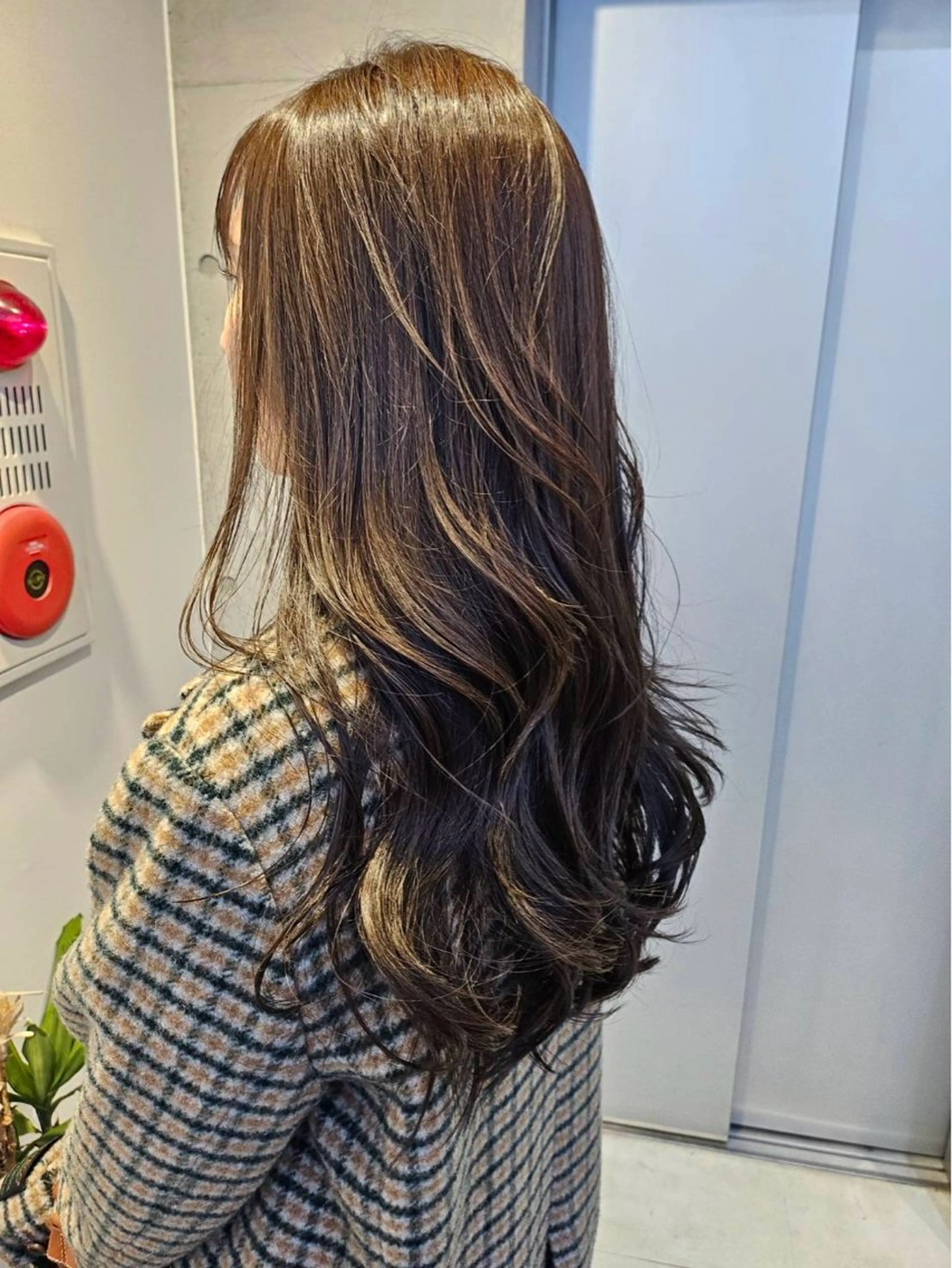 セミロング カラー カット ヘアカラー トリートメント 【銀座】艶髪/上品な カラー特化/涼/駅近のヘアスタイル