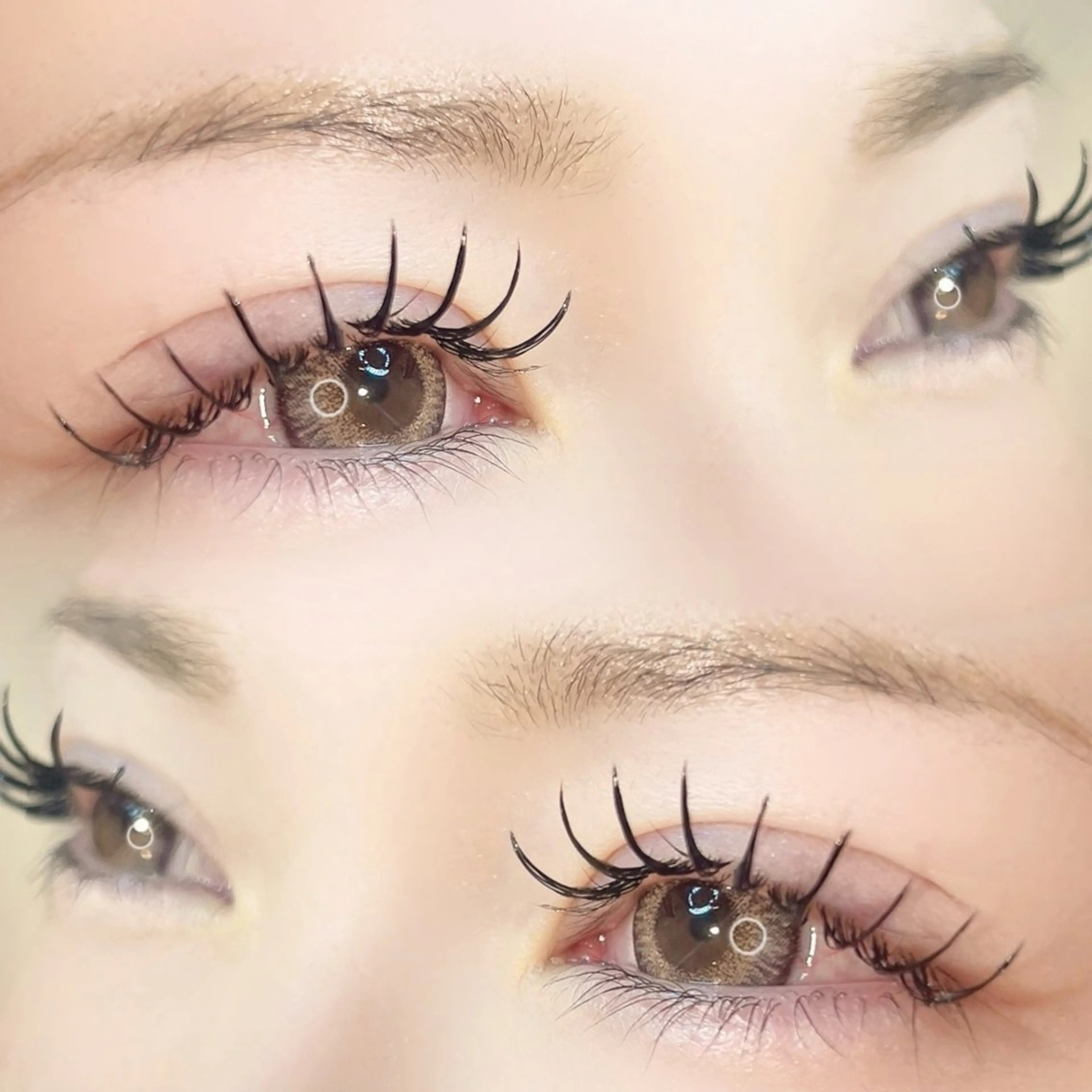 🌼大人気🌼パリエク[上80本～120本]※コーティング込の写真