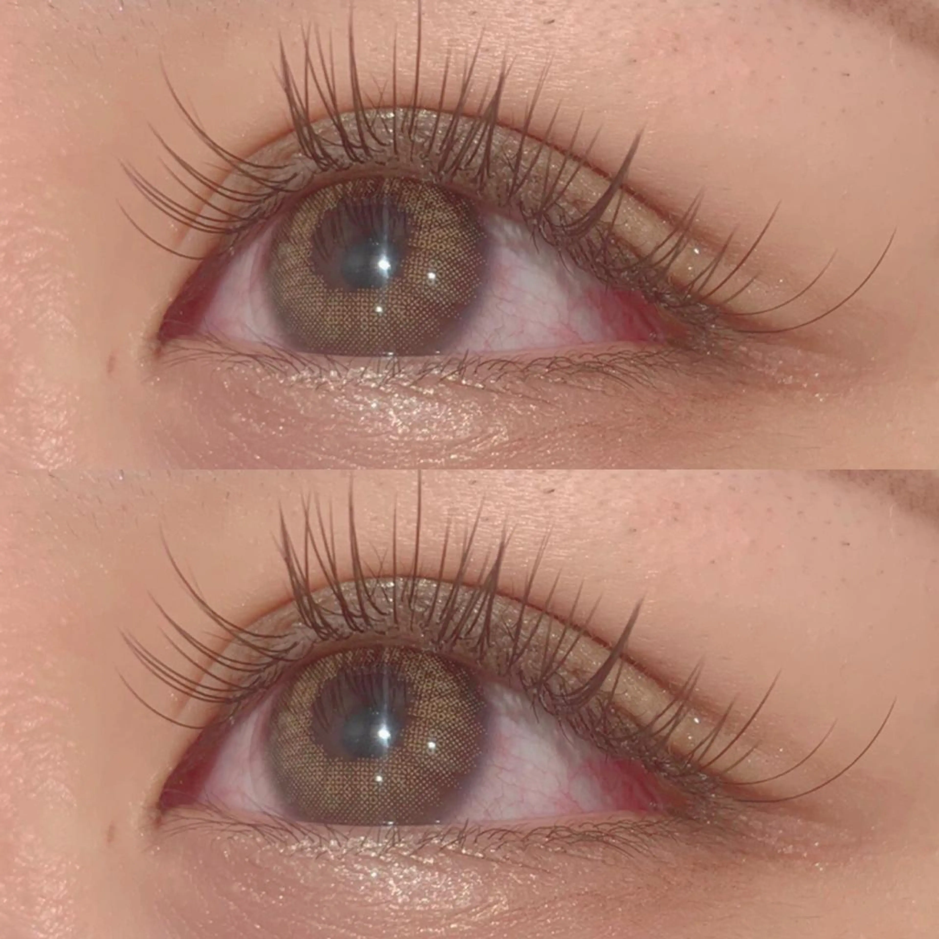 新導入！オフ込みLEDフラットラッシュ100本🌛の写真