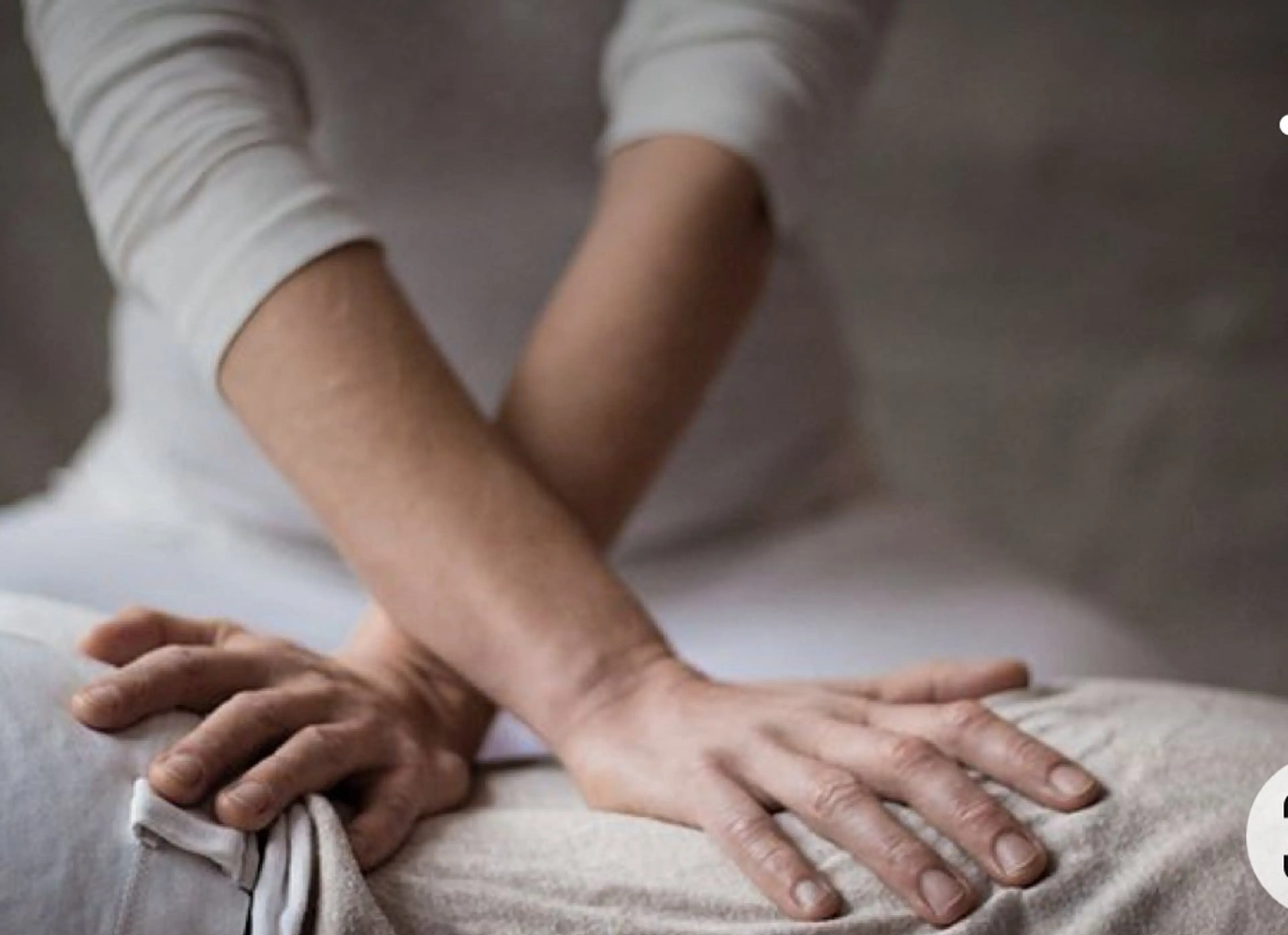 めぐらせの 森のその他イメージ