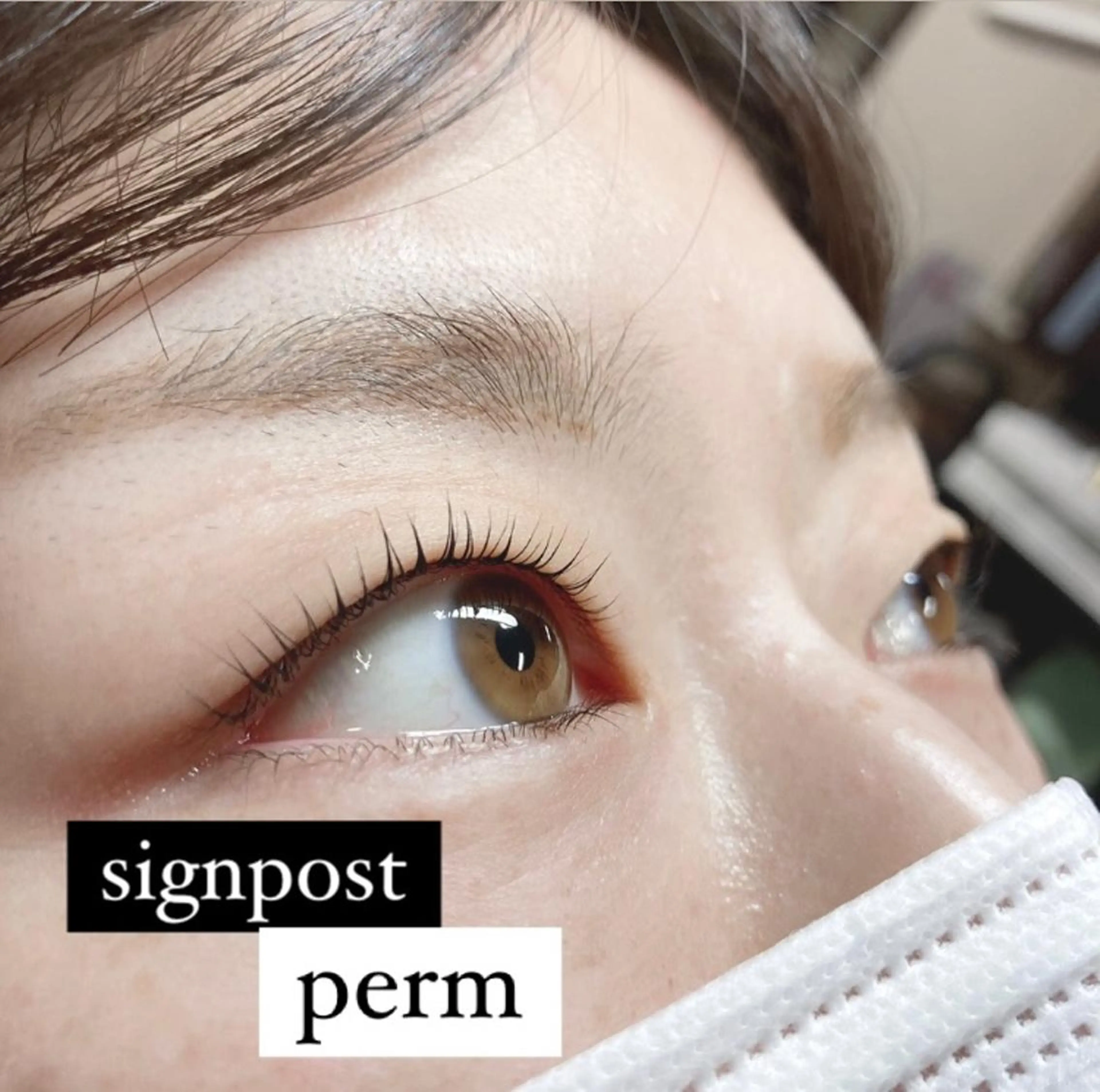 マツエク・マツパ 下まつげエクステ 一重×まつ毛パーマ ‎🤍nabi 代官山/渋谷/恵比寿のマツエク・マツパデザイン