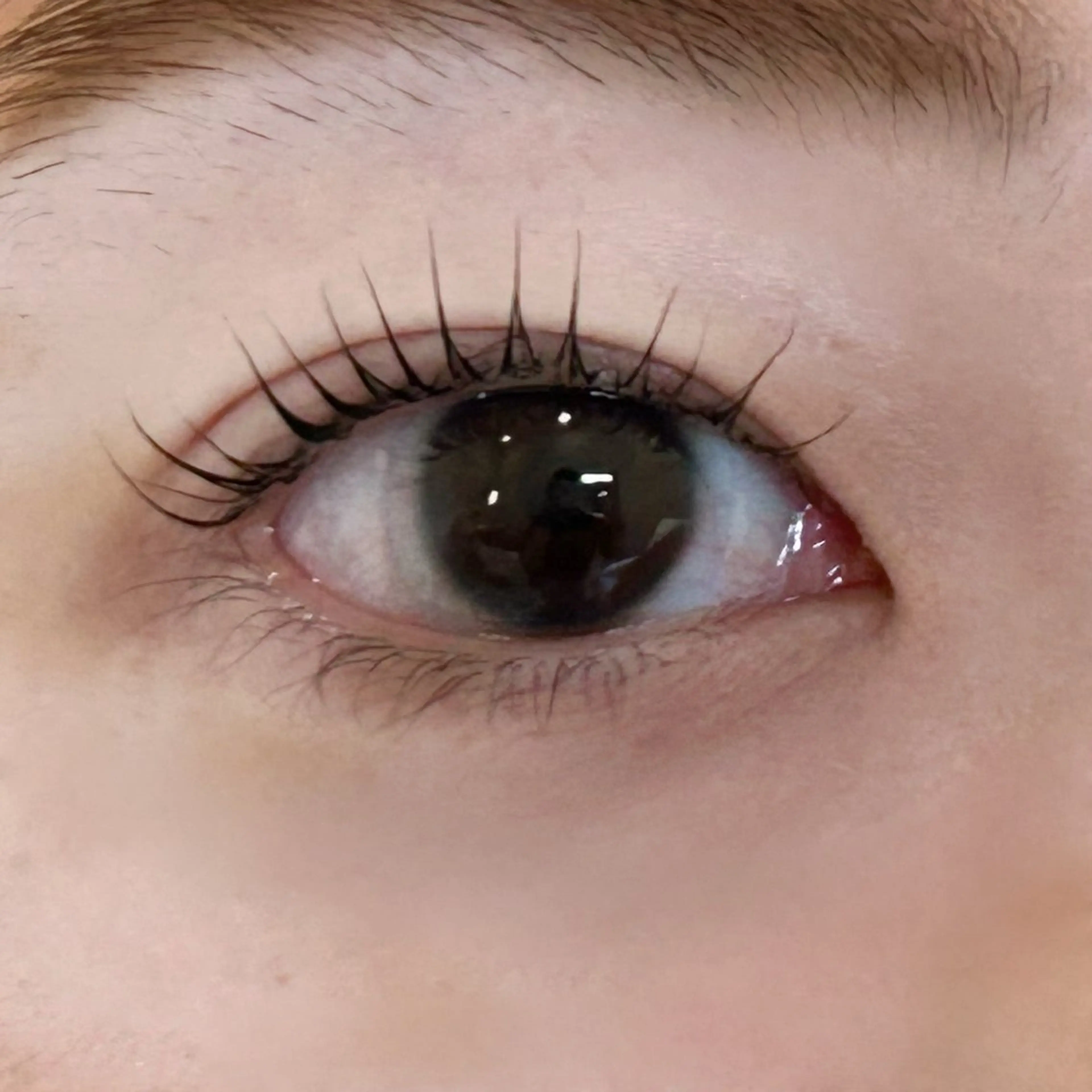 マツエク・マツパ まつげパーマ 【lino】/内田 愛海🌻のマツエク・マツパデザイン