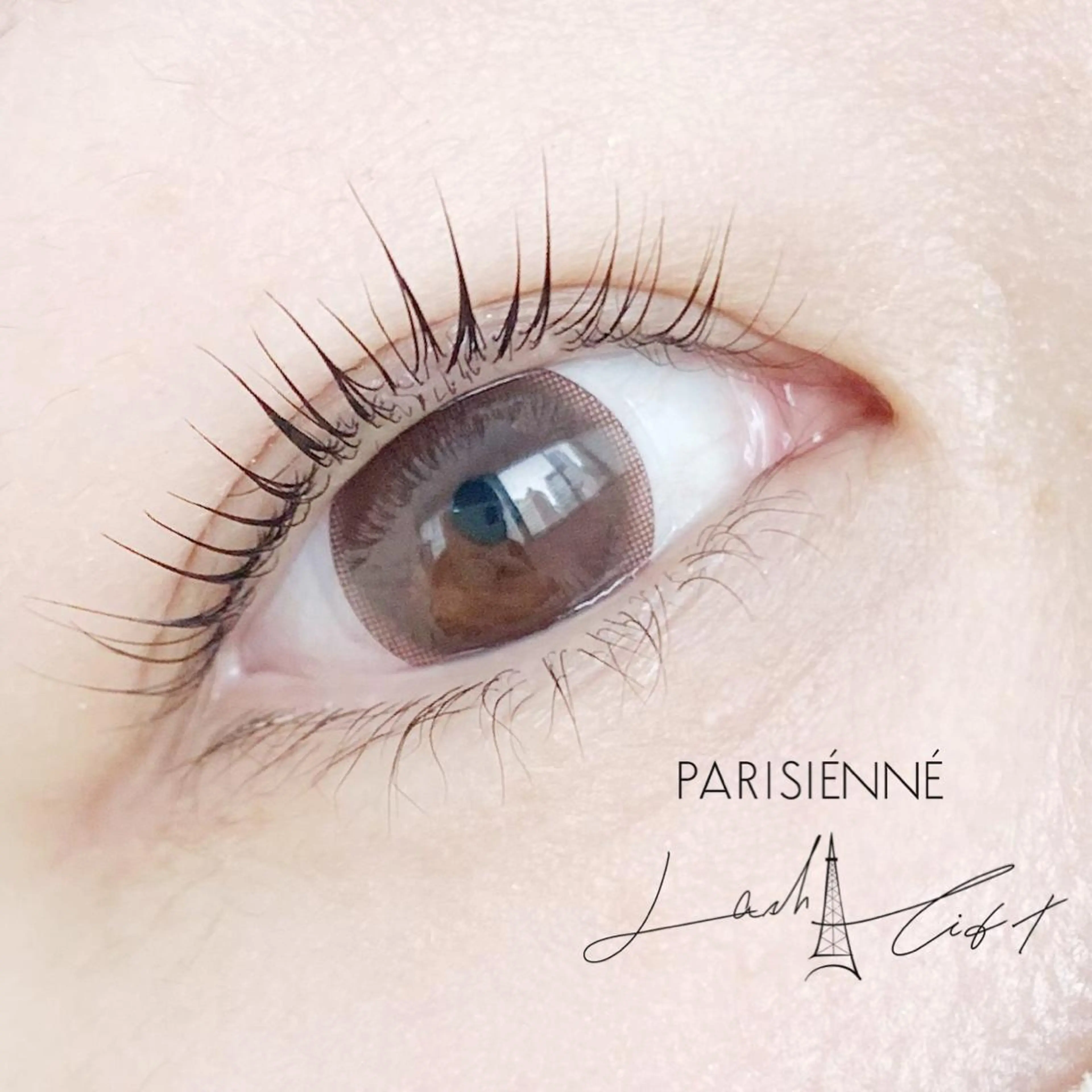 🐶4月平日限定🐶🫧パリジェンヌorデザインラッシュリフト🫧の写真