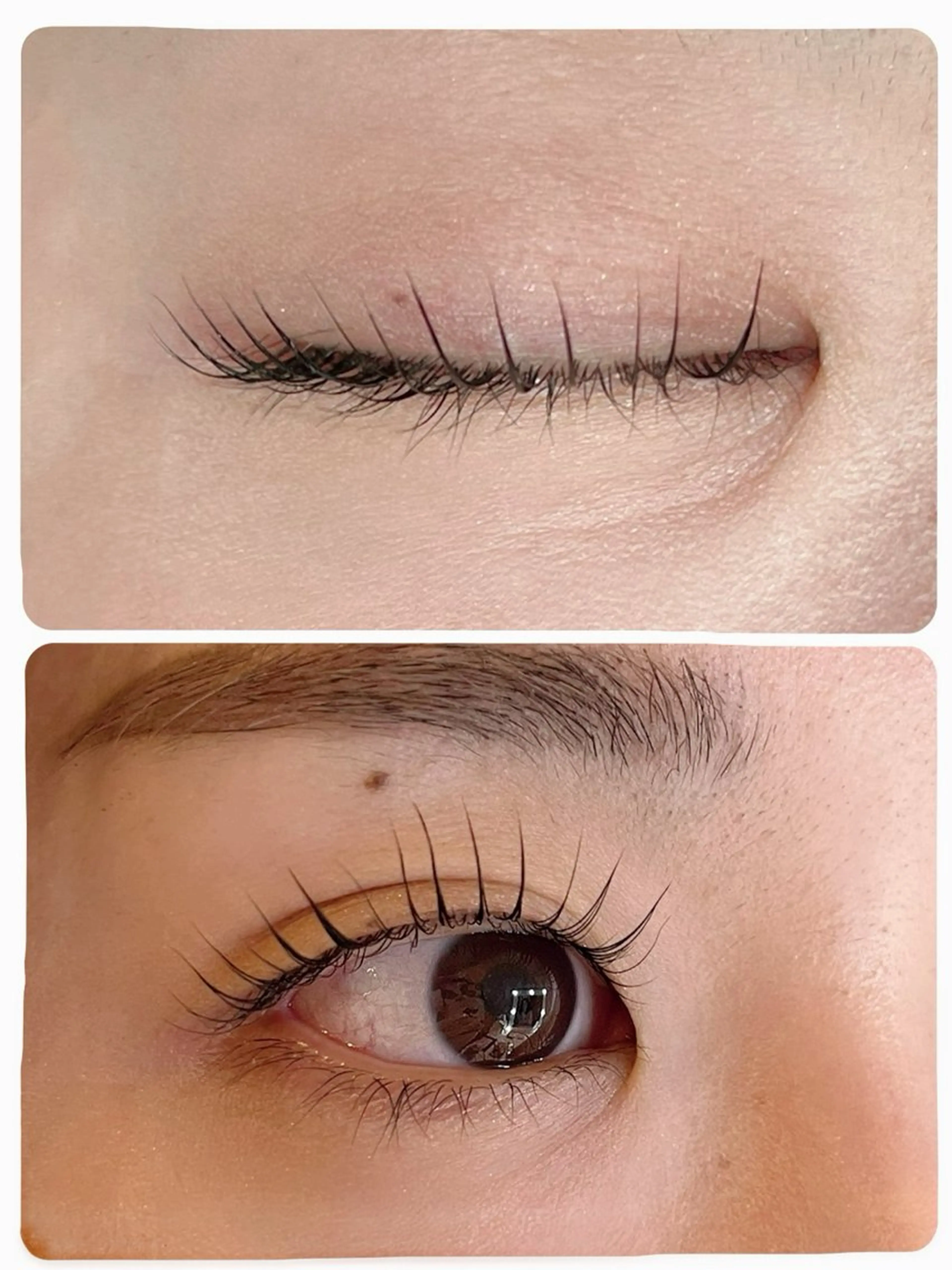 マツエク・マツパ パリジェンヌラッシュリフト マツパ Alyssum所属・Alyssum Akiのマツエク・マツパデザイン